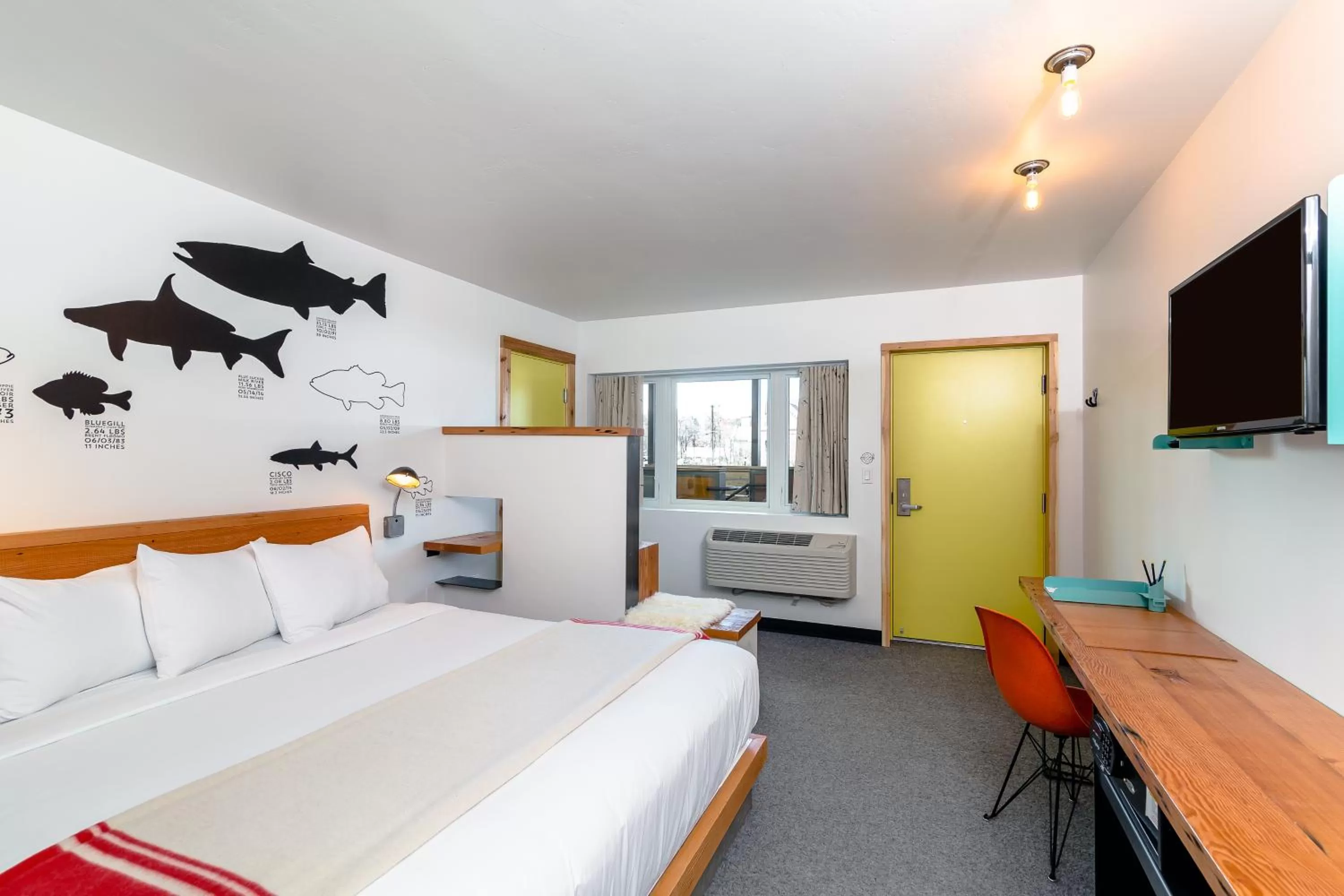 Single Room in The LARK