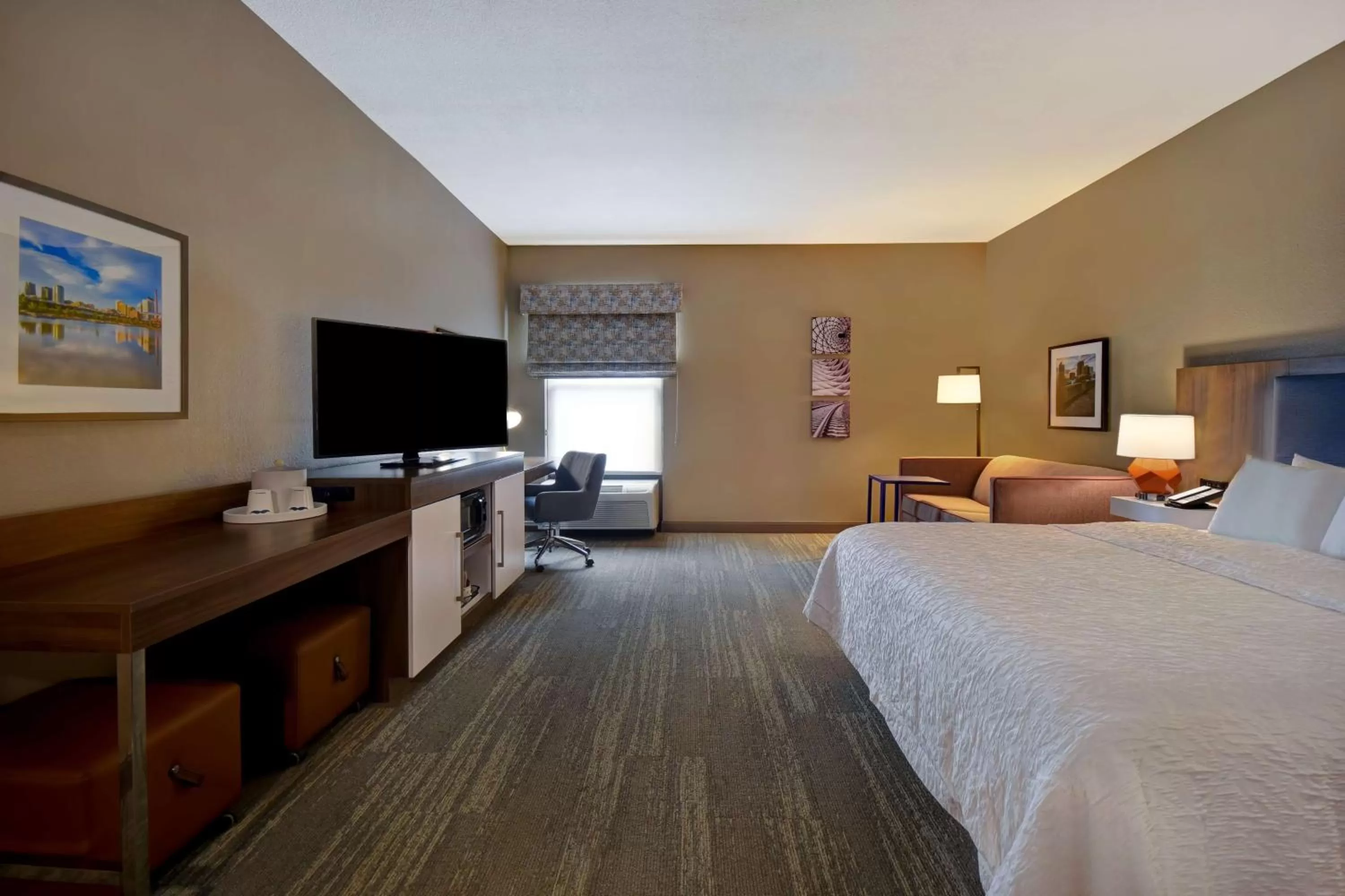 King Room with Sofa Bed - Non-Smoking in Hampton Inn Birmingham-Colonnade 280