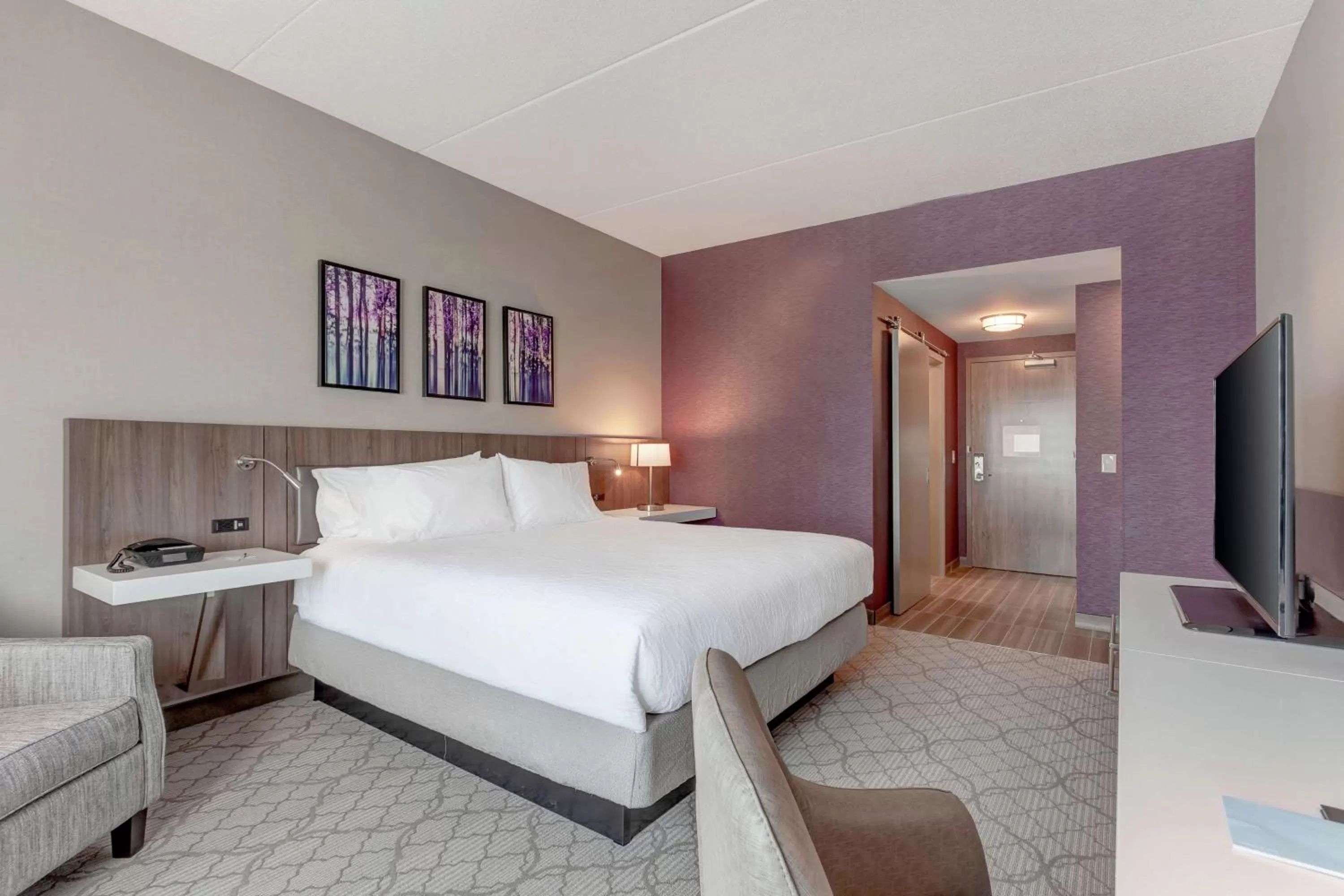 King Room in Hilton Garden Inn Toronto/Brampton West, Ontario, Canada