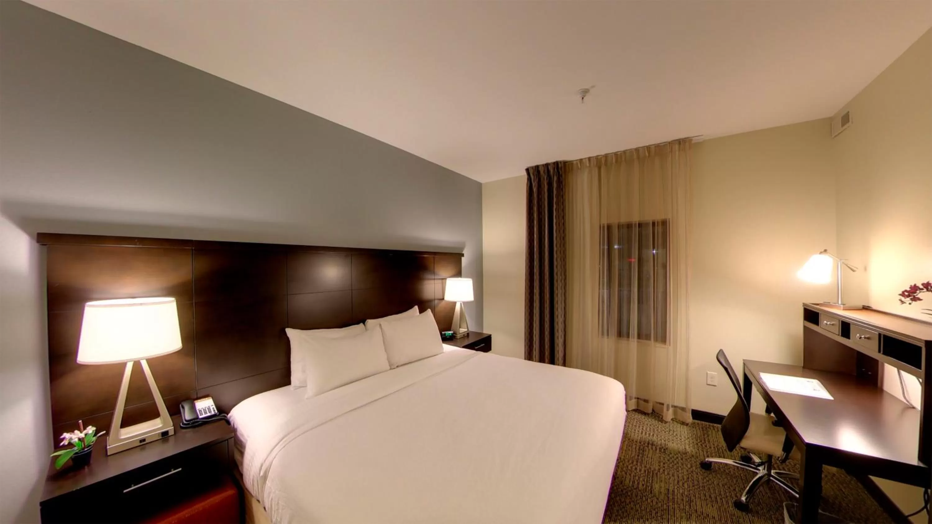 King Room - Hearing Access - Non-Smoking in Staybridge Suites Ann Arbor - Research Parkway by IHG