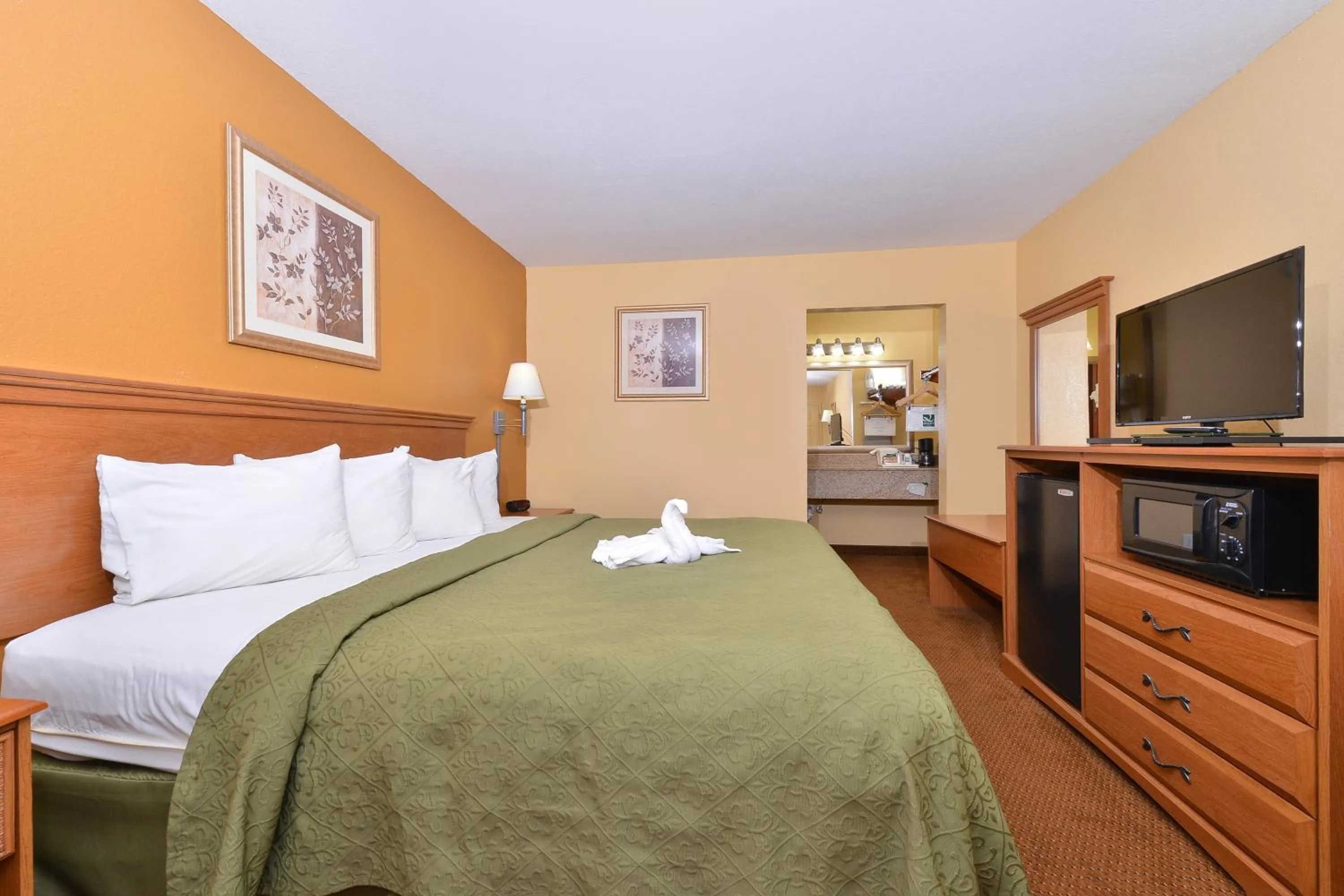 King Room - Non-Smoking in Quality Inn & Suites Cartersville North