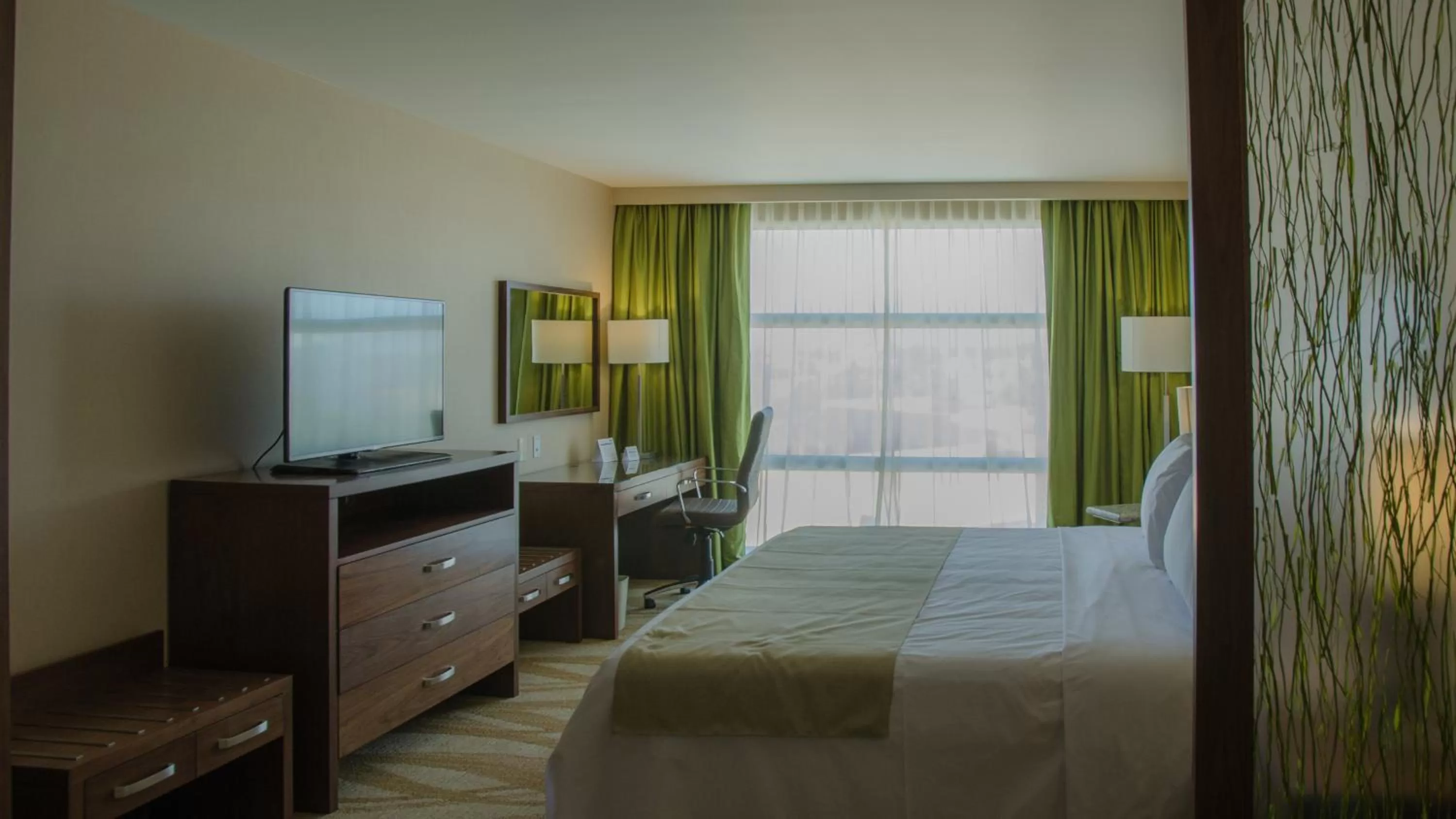King Suite in Holiday Inn Express and Suites Celaya, an IHG Hotel