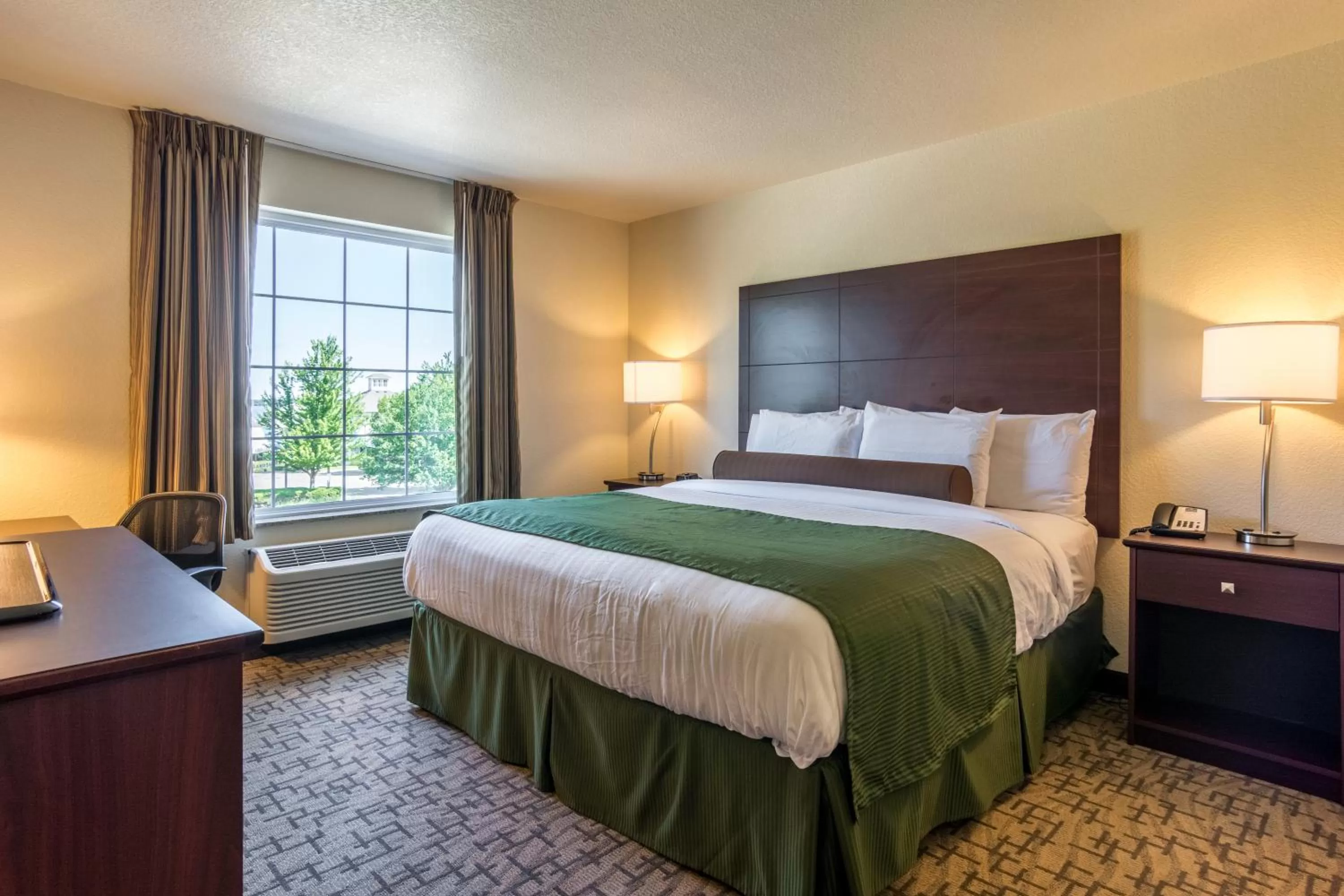 Single Room - Disability Access in Cobblestone Hotel & Suites - Devils Lake
