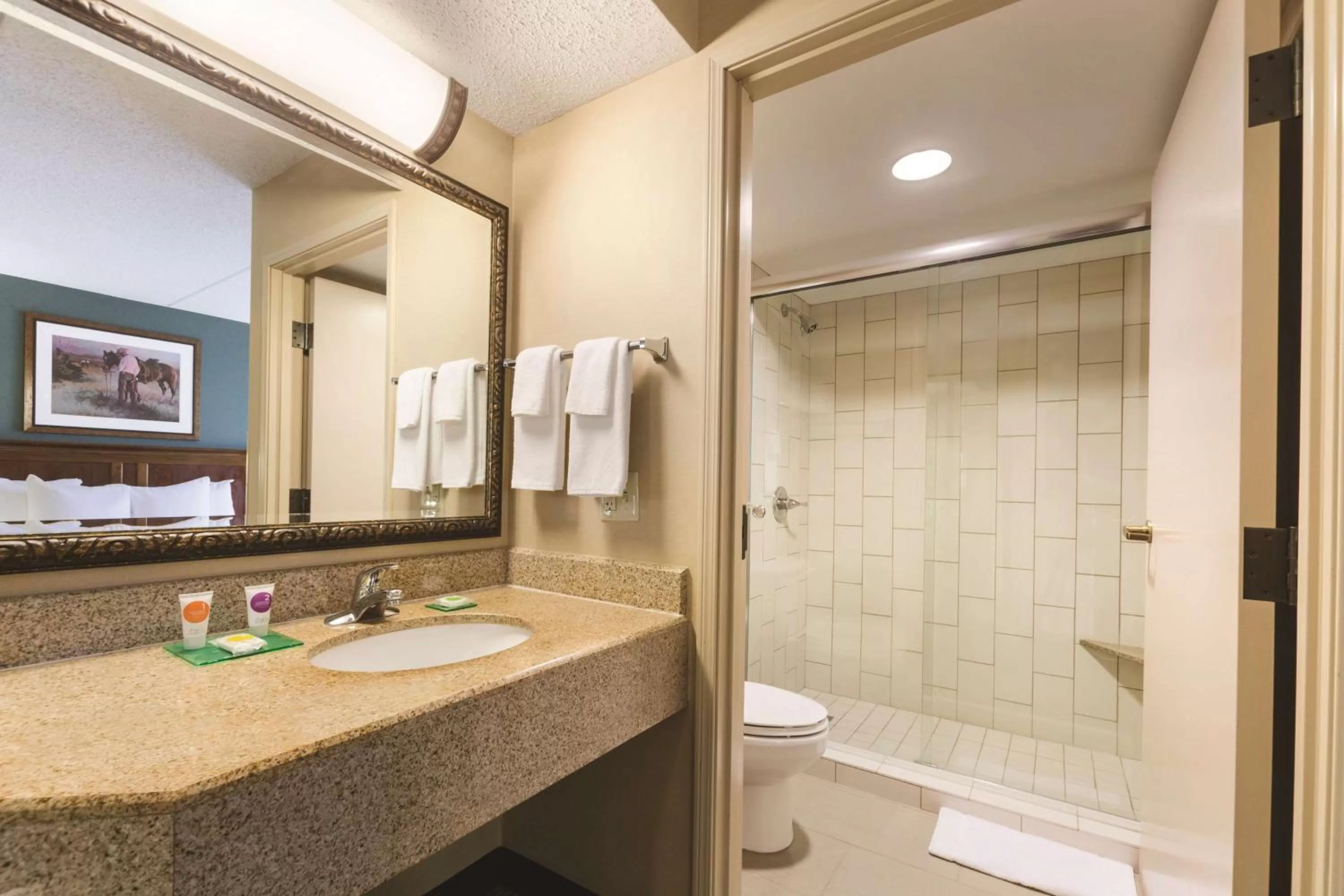 King Room with Sofa Bed and Roll-In Shower - Disability Access in Hyatt Place Fort Worth Stockyard