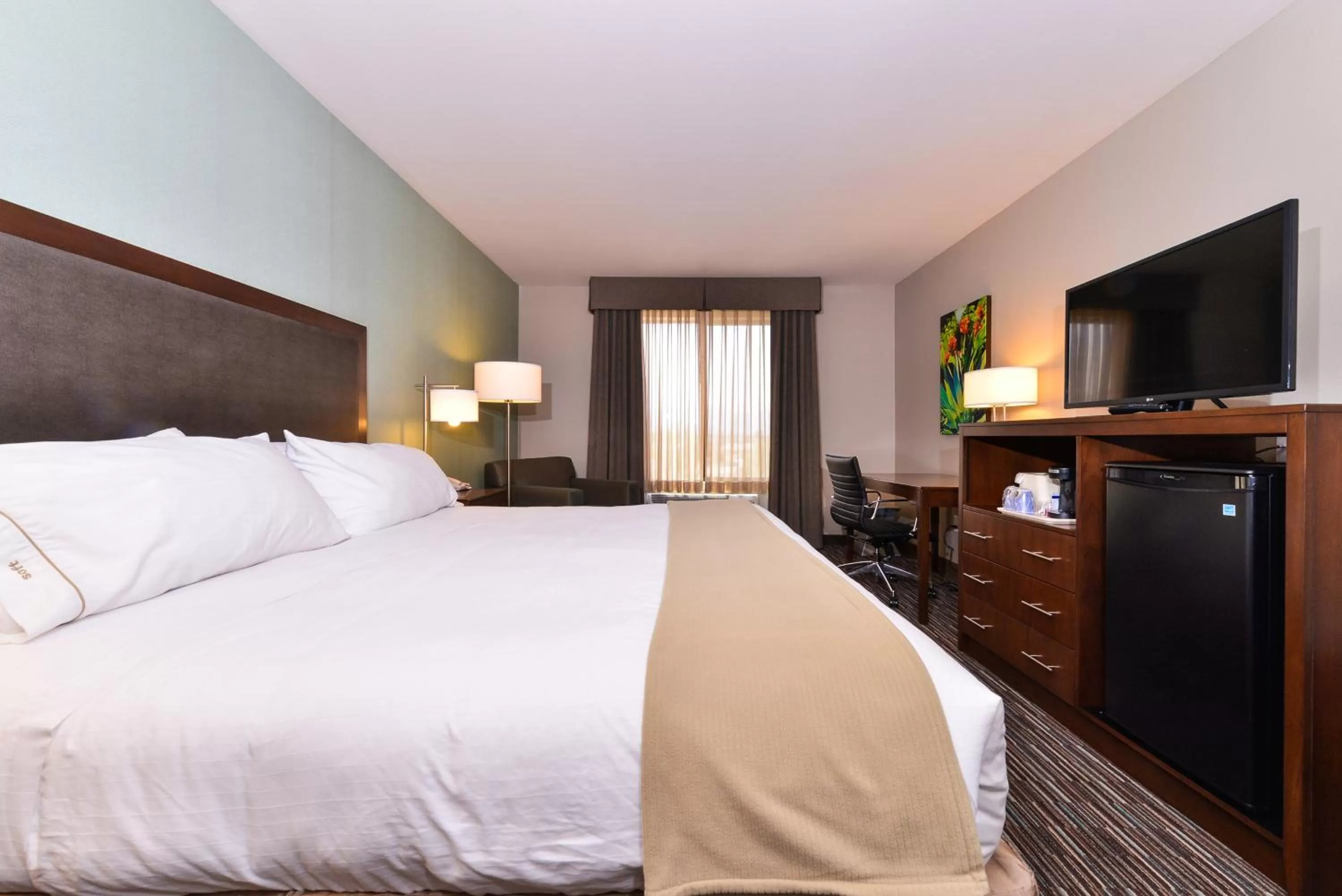 Standard King Room in Holiday Inn Express Indio, an IHG Hotel