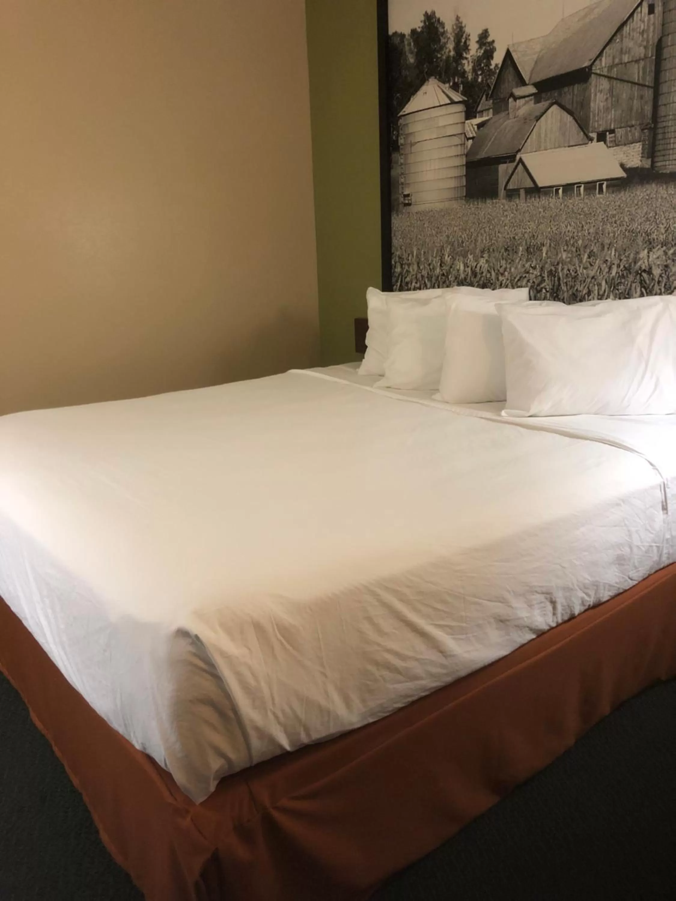 King Room - single occupancy - Disability Access/Non-Smoking in Americas Best Value Inn Onawa