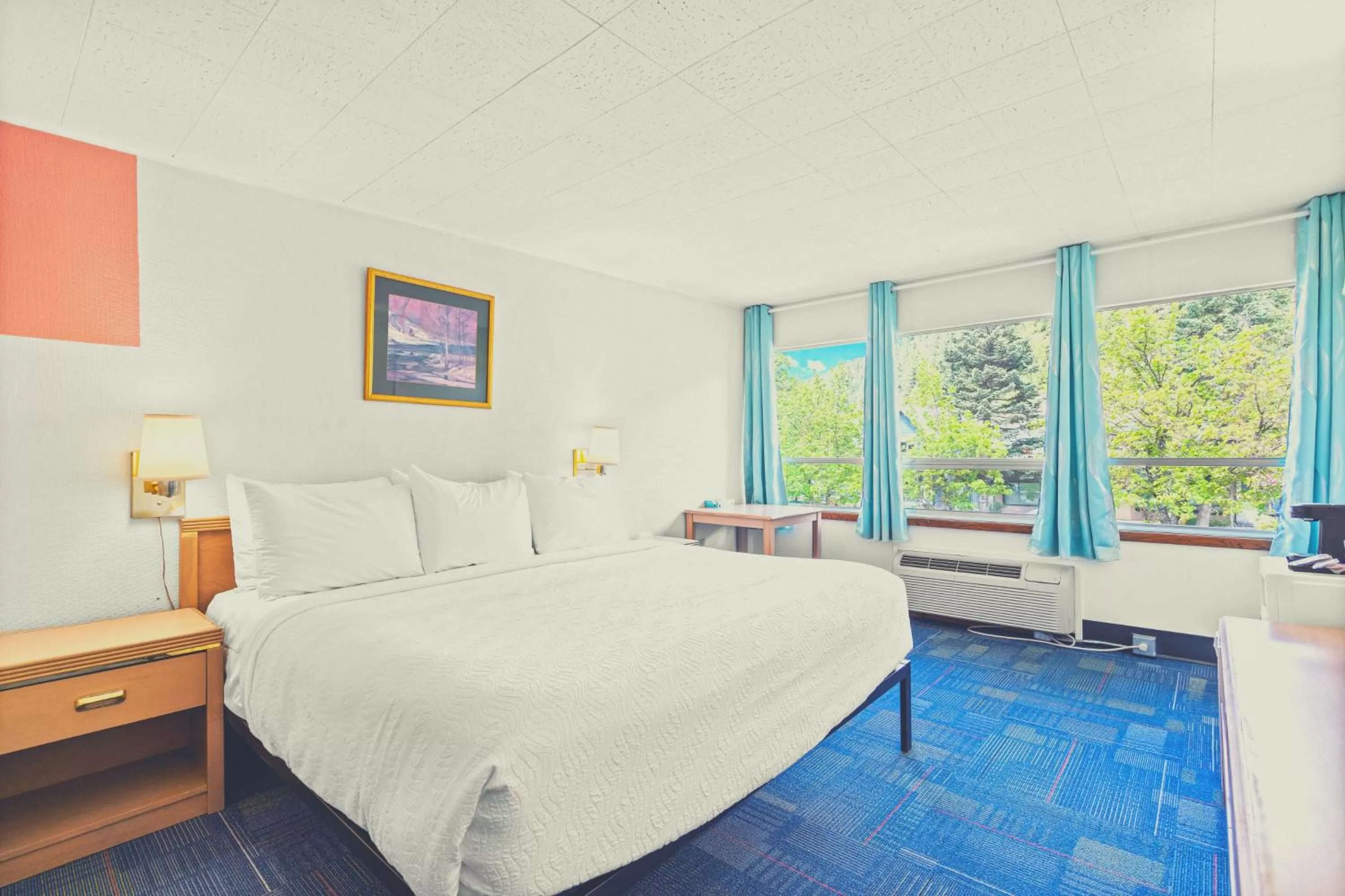 Superior King Room in Stardust Motel Wallace