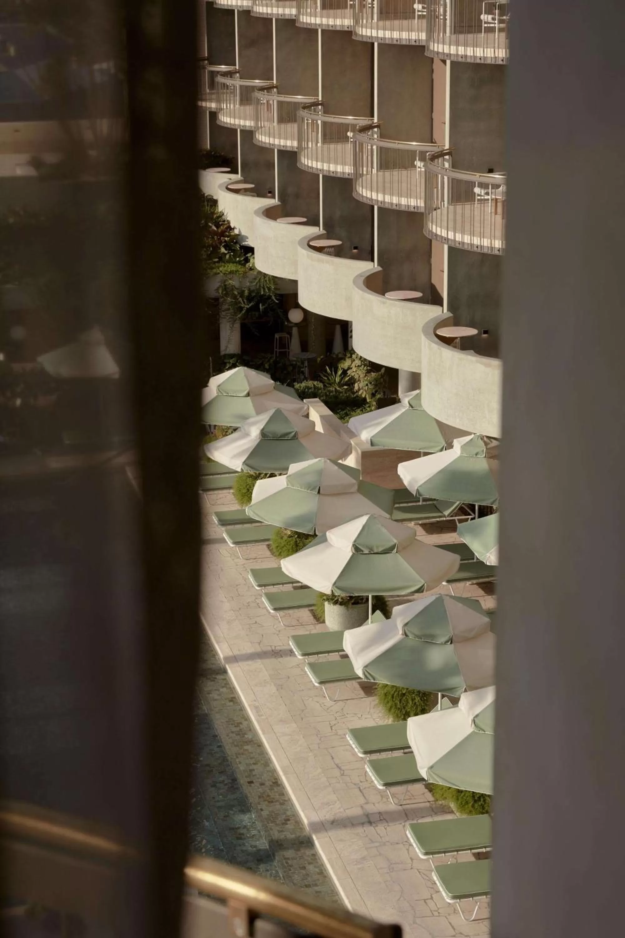 King Room - Poolside in The Calile Hotel