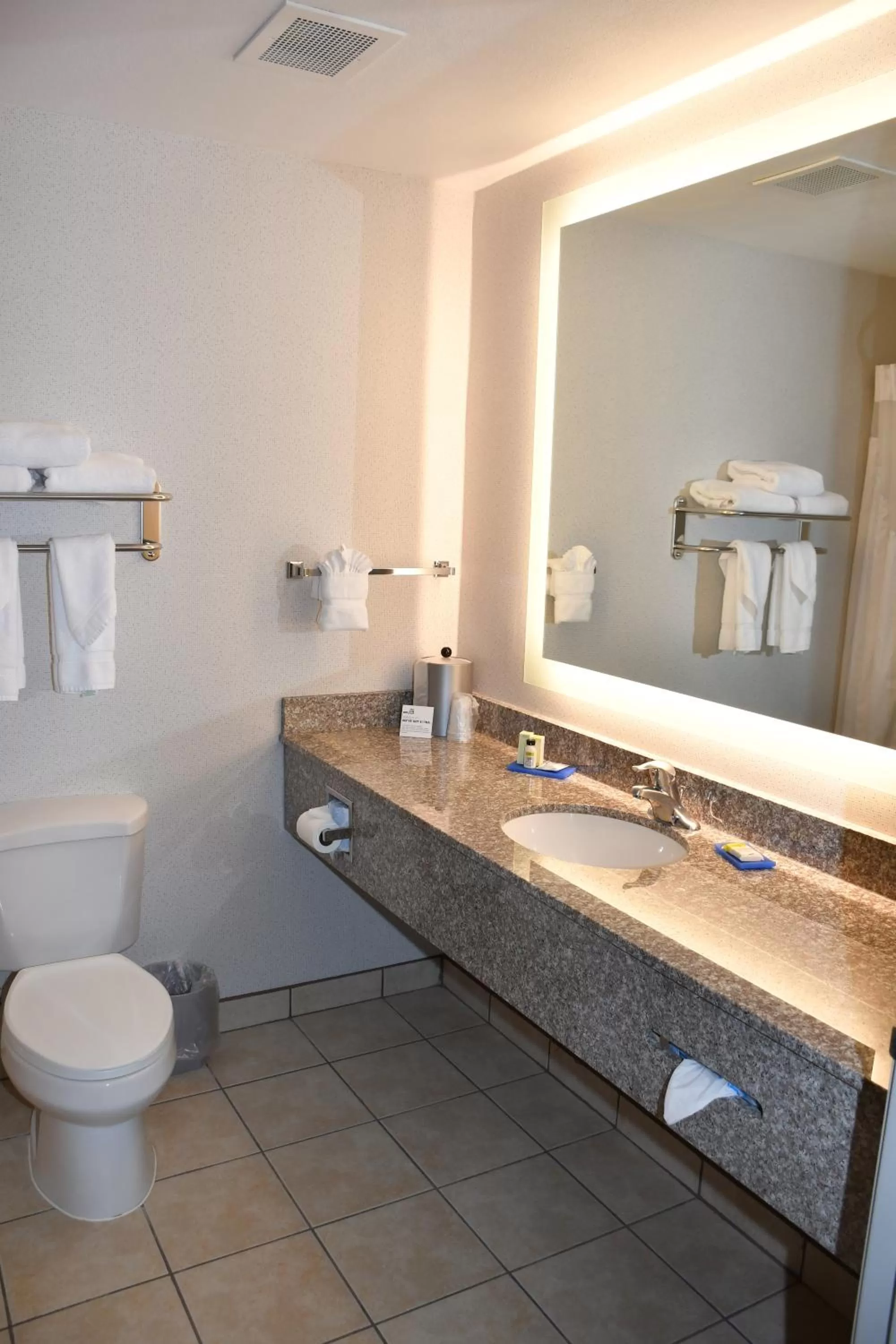 Standard Room in Holiday Inn Express Hotel & Suites Evanston by IHG