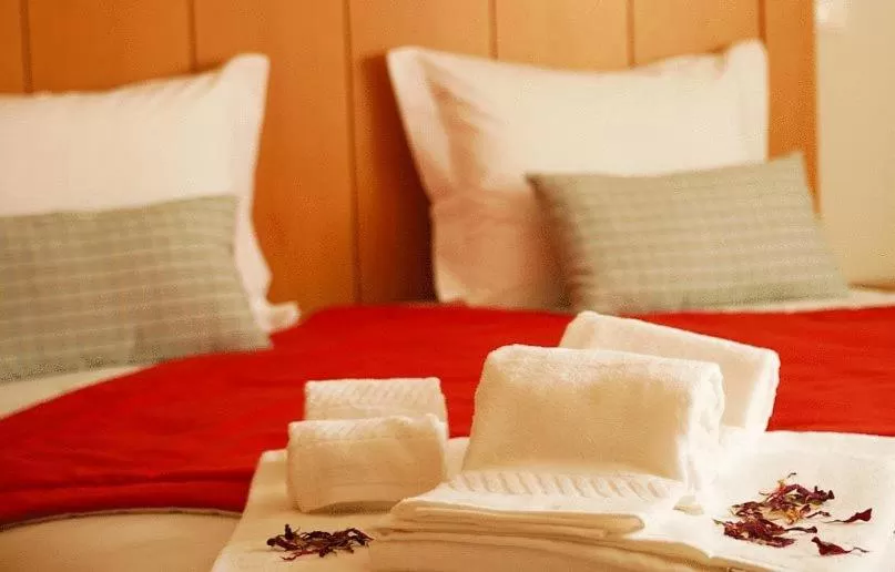 One-Bedroom Apartment in Vicentina Hotel