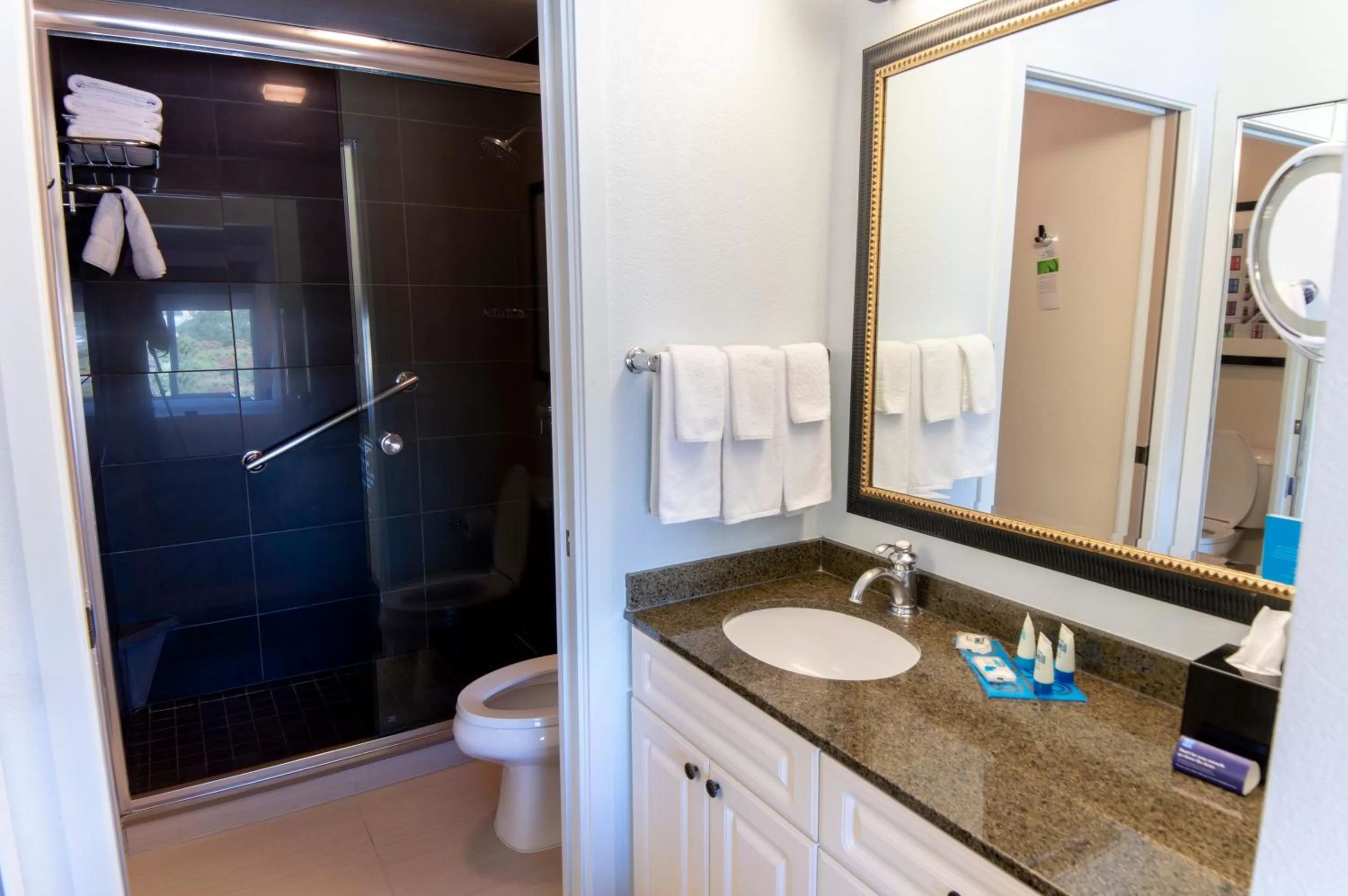 King Studio with Sofa Bed in Hyatt House Santa Clara