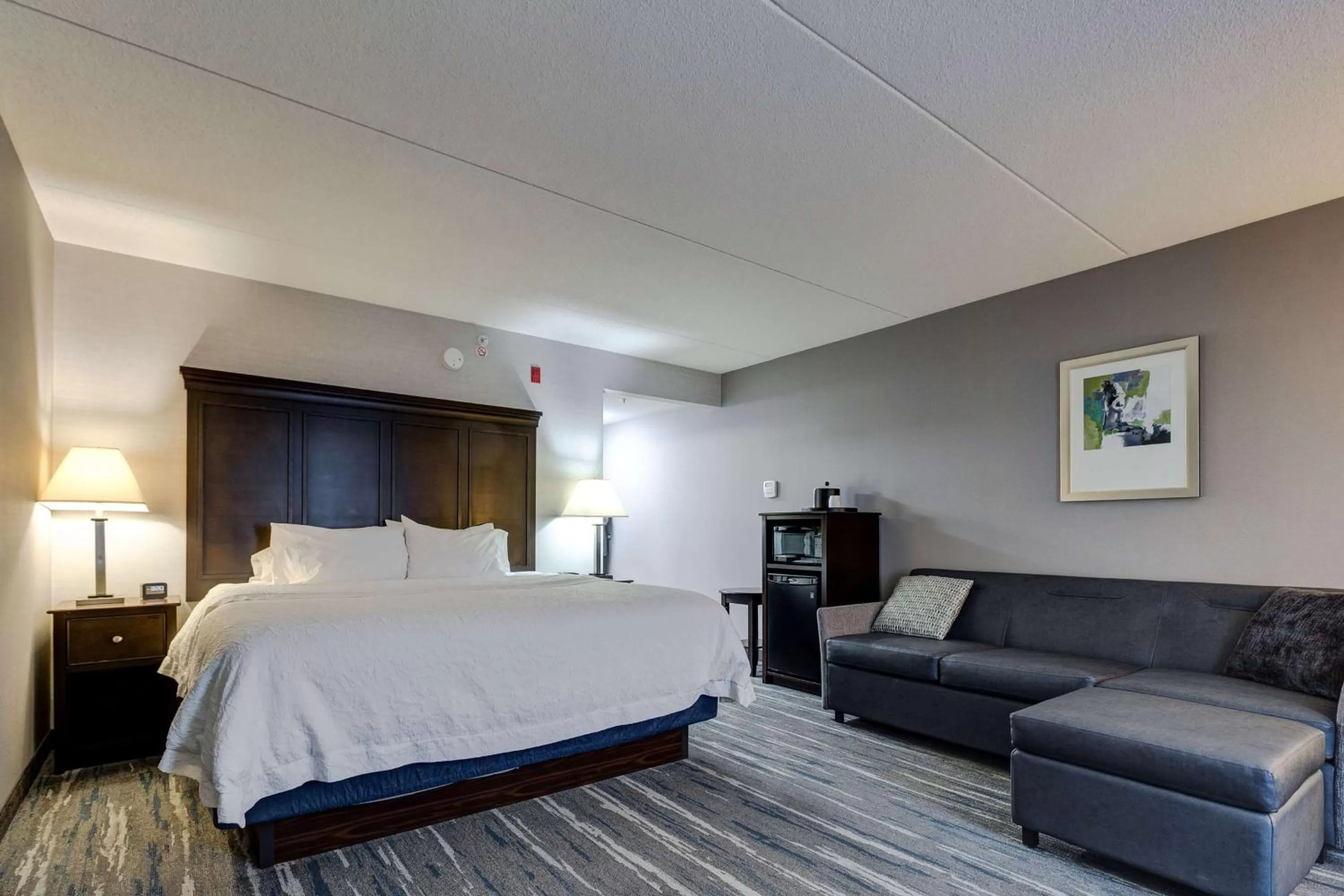 King Study with Sofa Bed - Non-Smoking  in Hampton Inn & Suites by Hilton Brantford