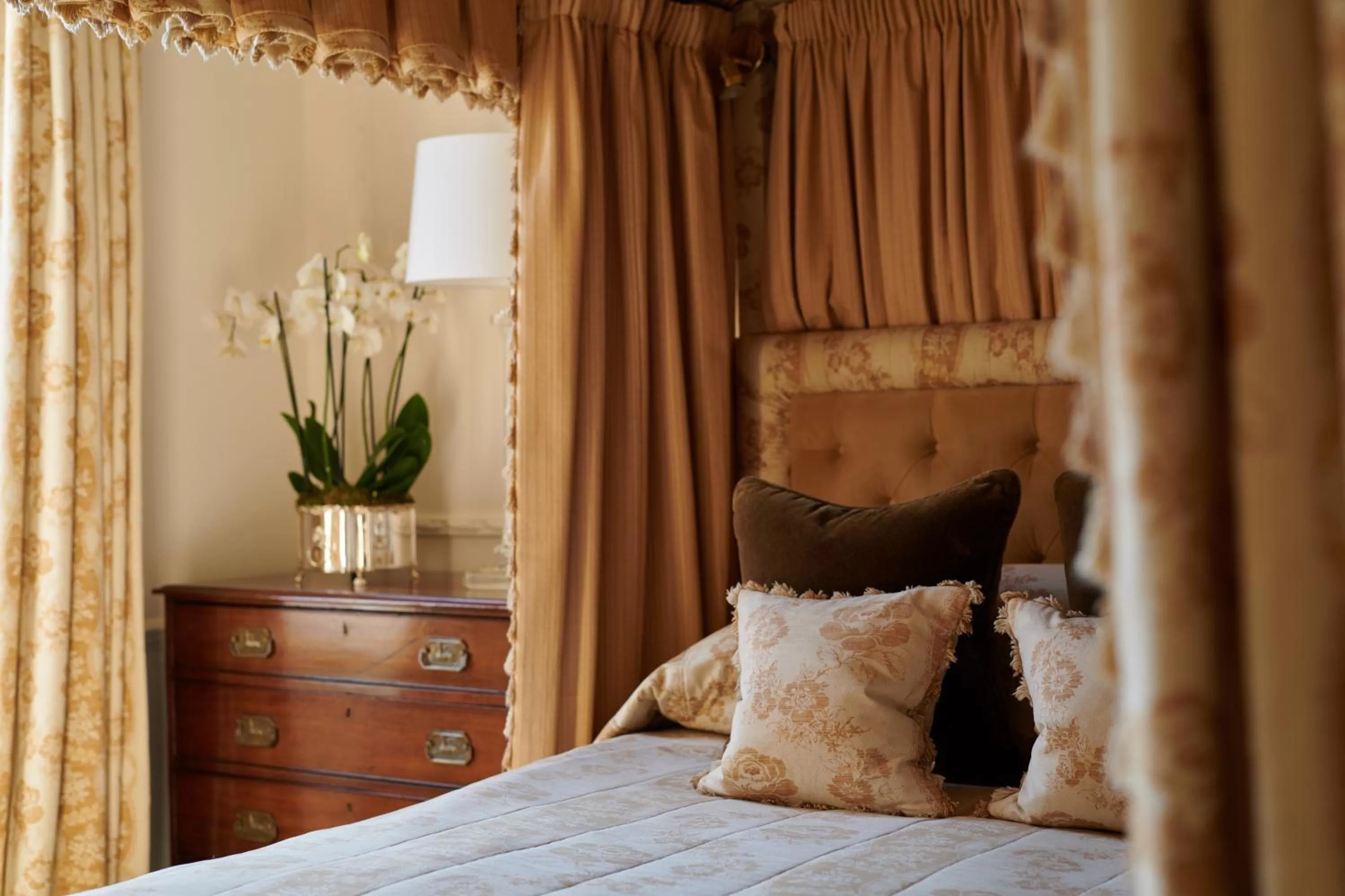 Studio Suite in Egerton House