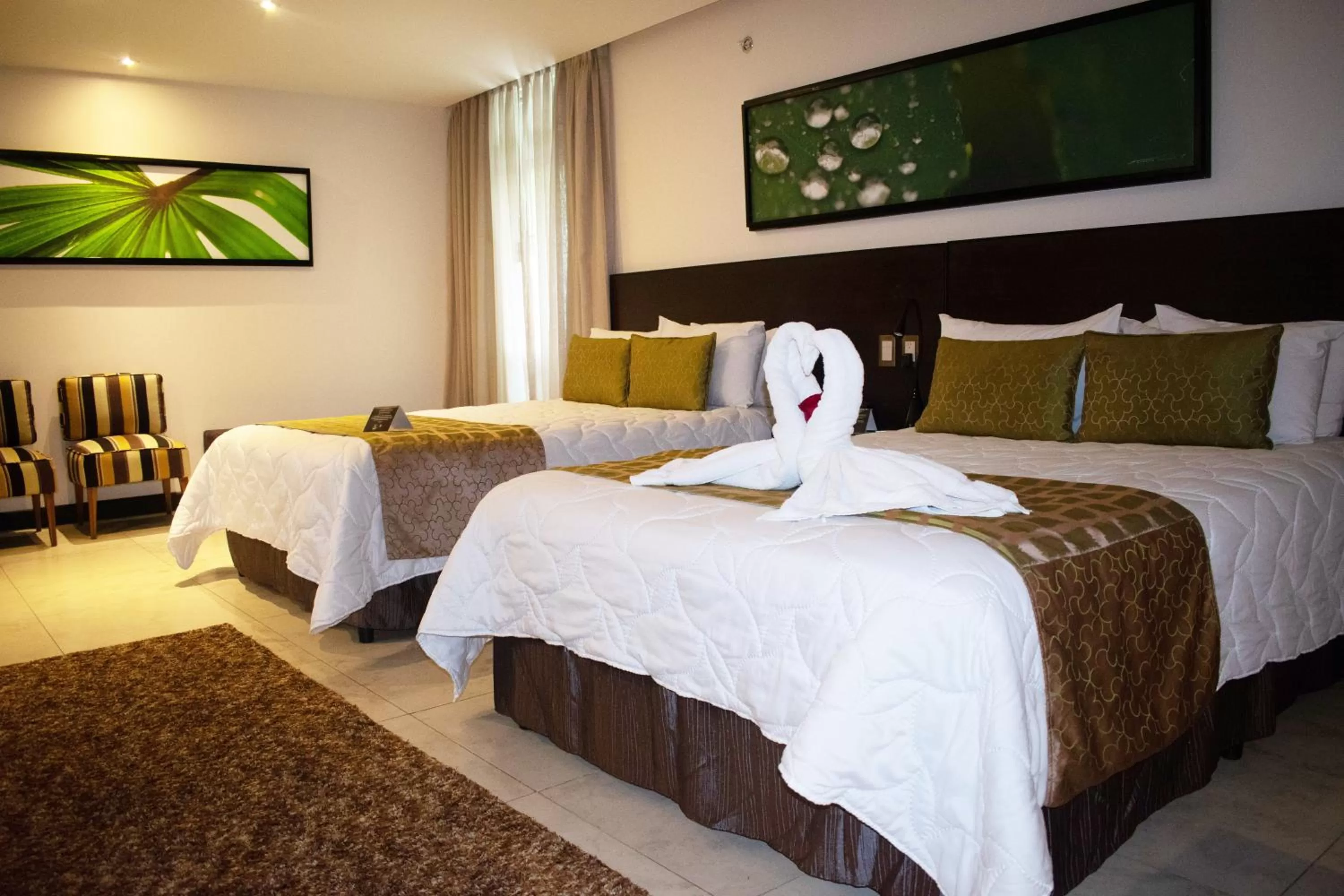 Studio in Studio Hotel Boutique