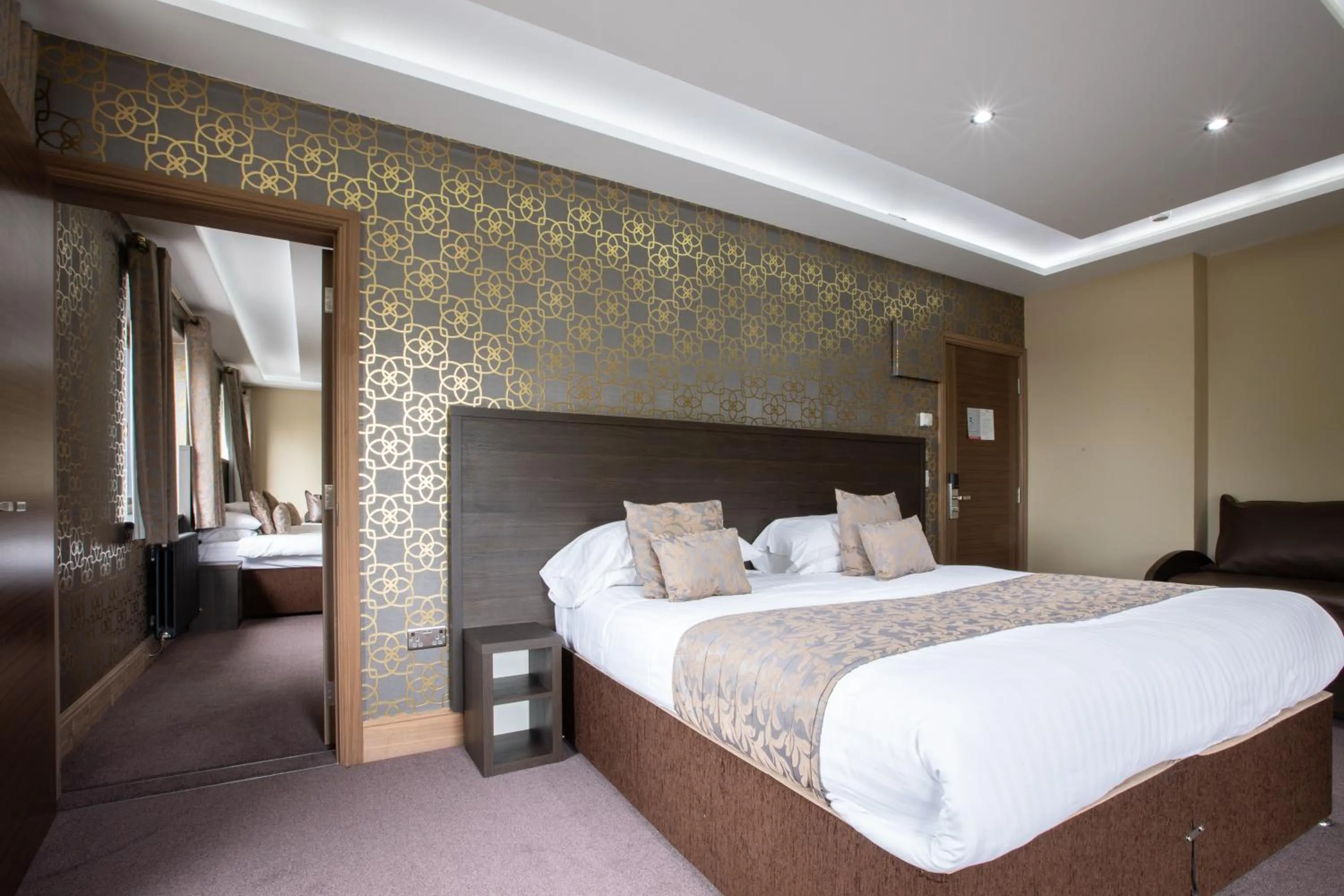 Deluxe Family Studio With 2 Rooms in Grainger Apartments