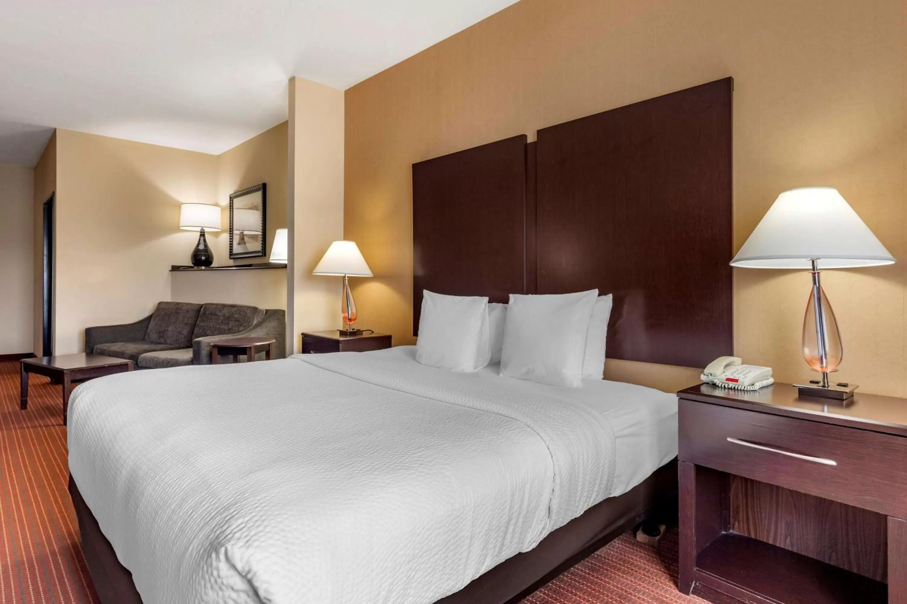 King Suite with Roll-In Shower - Disability Access in Best Western Plus DFW Airport West Euless