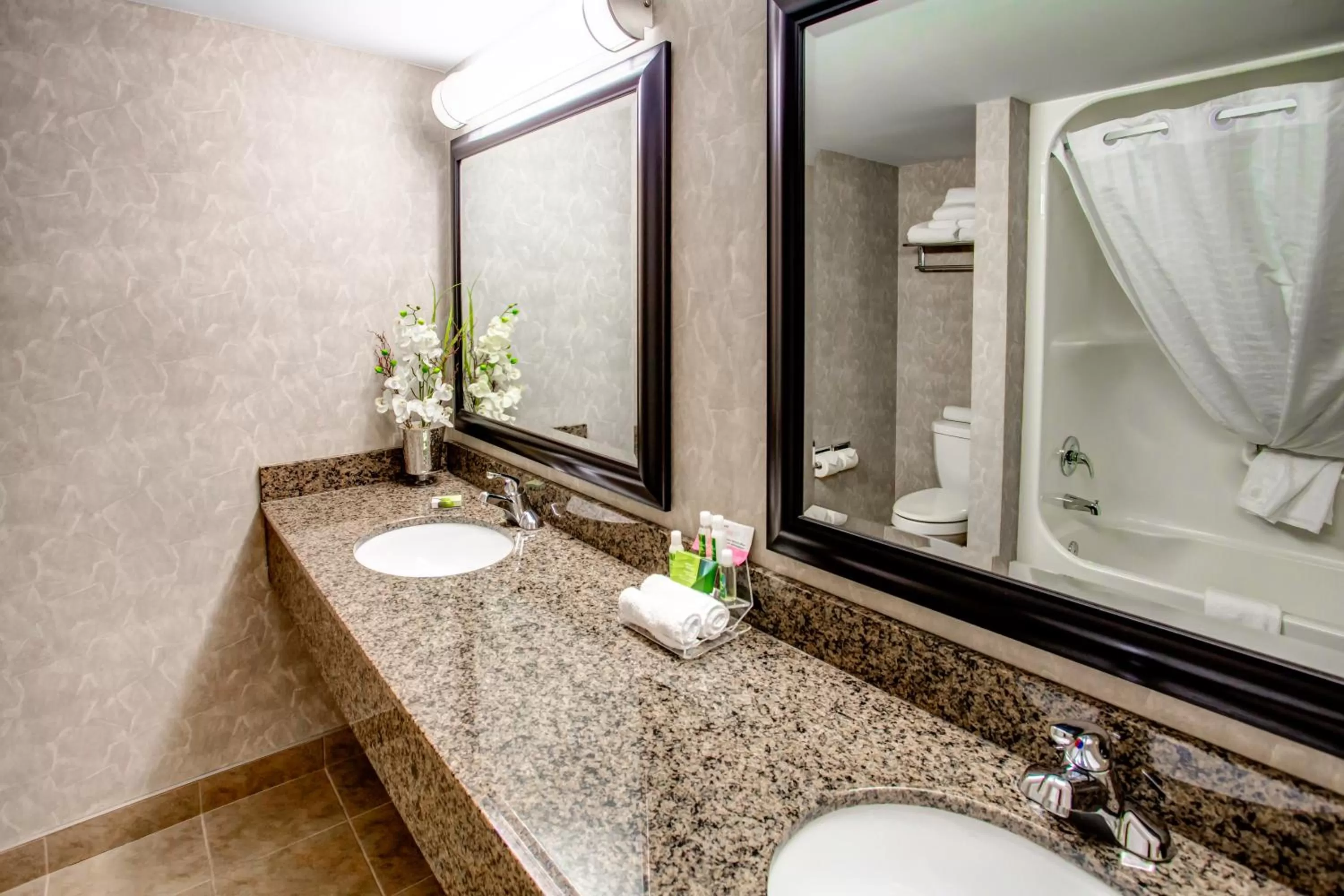 King Studio Suite - Non-Smoking in Royal Hotel West Edmonton, Trademark Collection by Wyndham