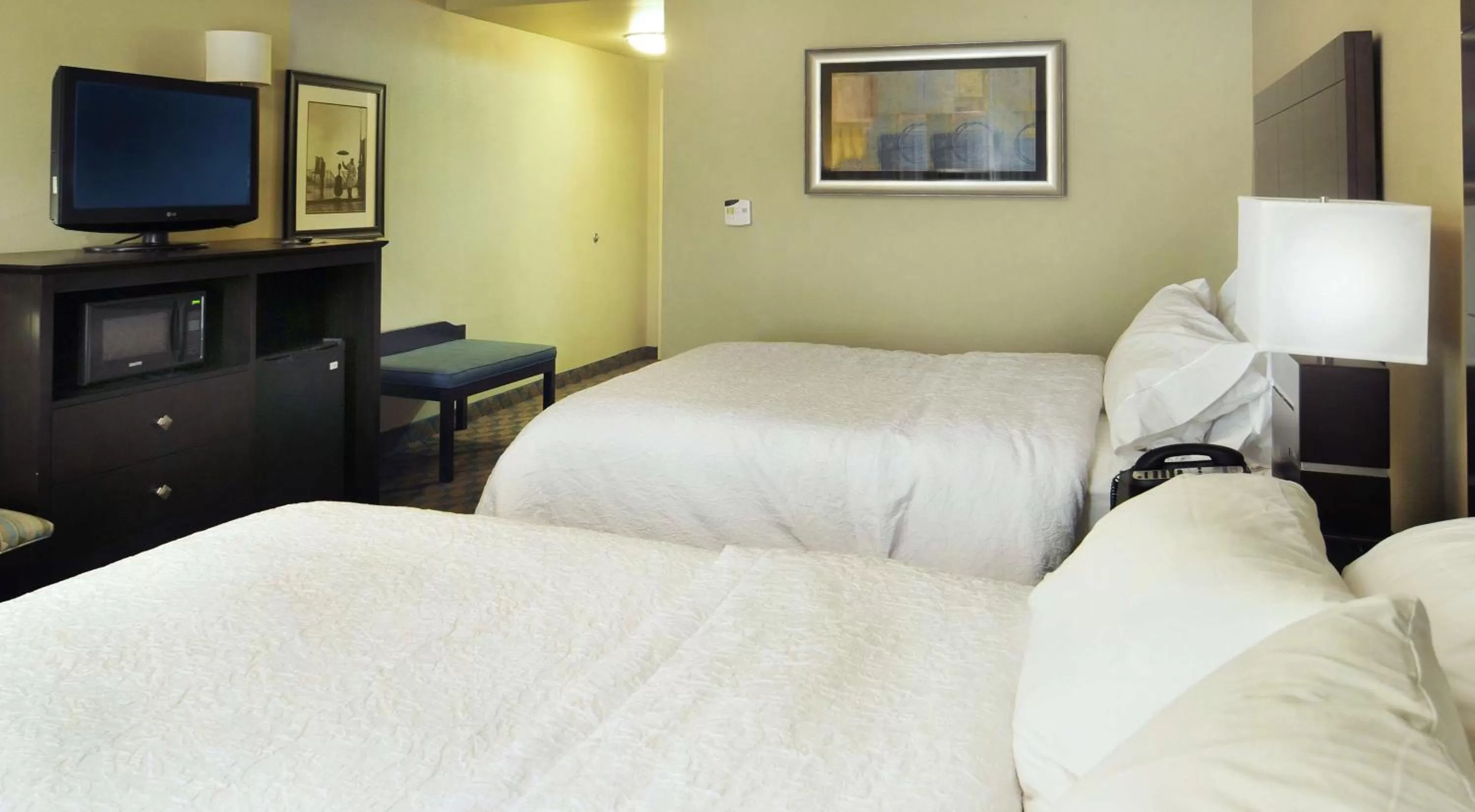 Room with Two Queen Beds - Non-Smoking in Hampton Inn Gadsden/Attalla Interstate 59