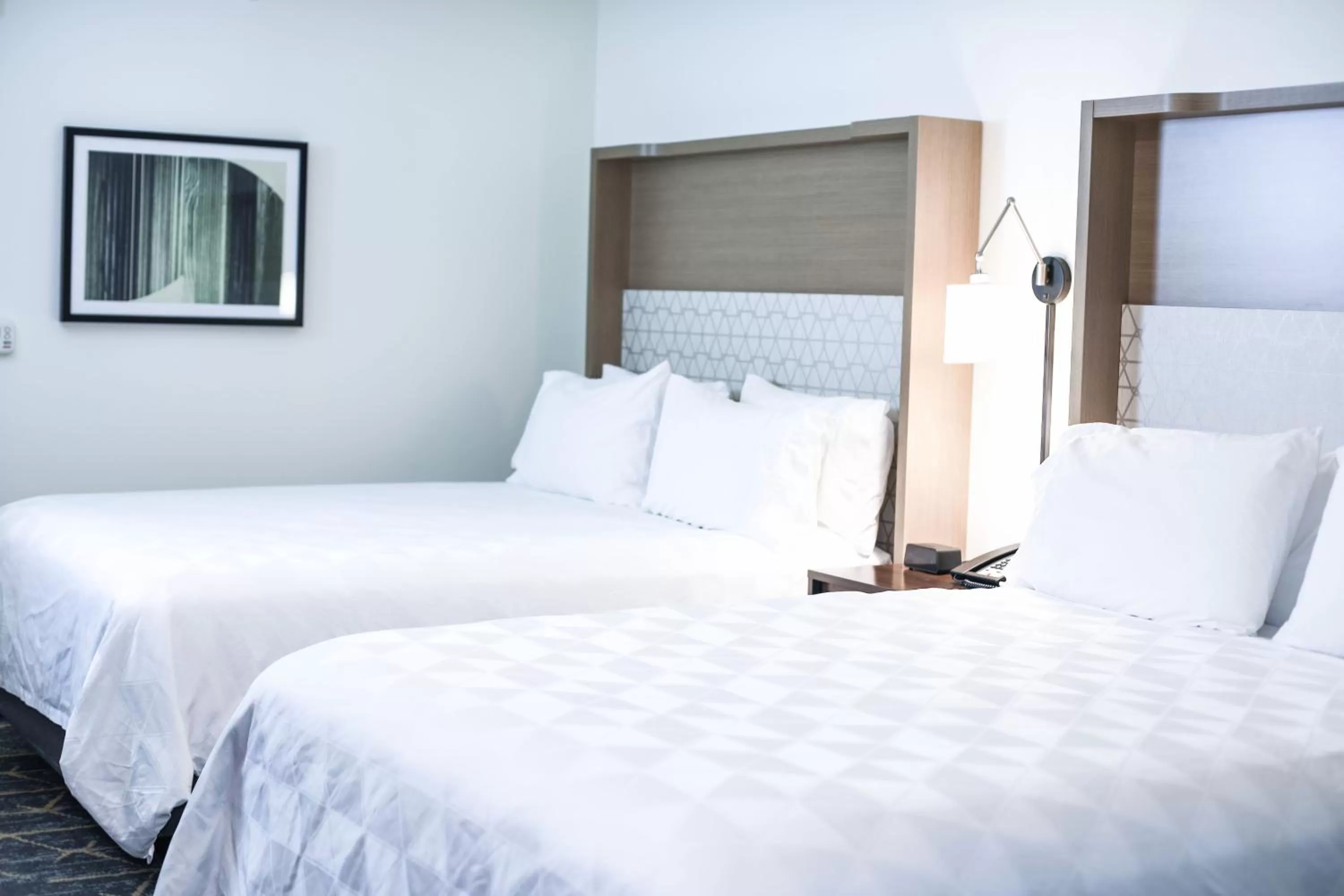 Suite - Disability Access in Holiday Inn & Suites St. Cloud by IHG