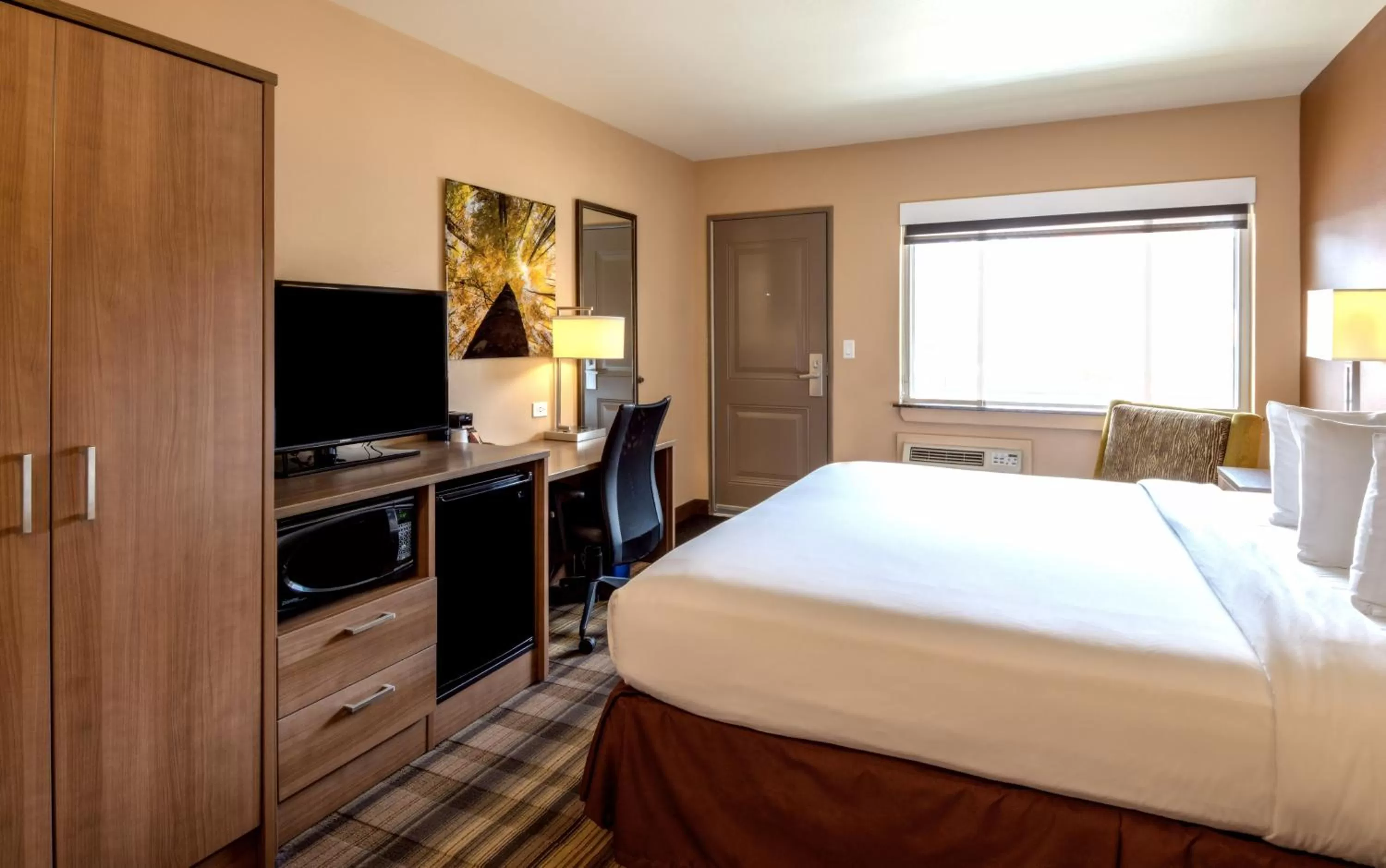 Deluxe King Room in Boulder University Inn