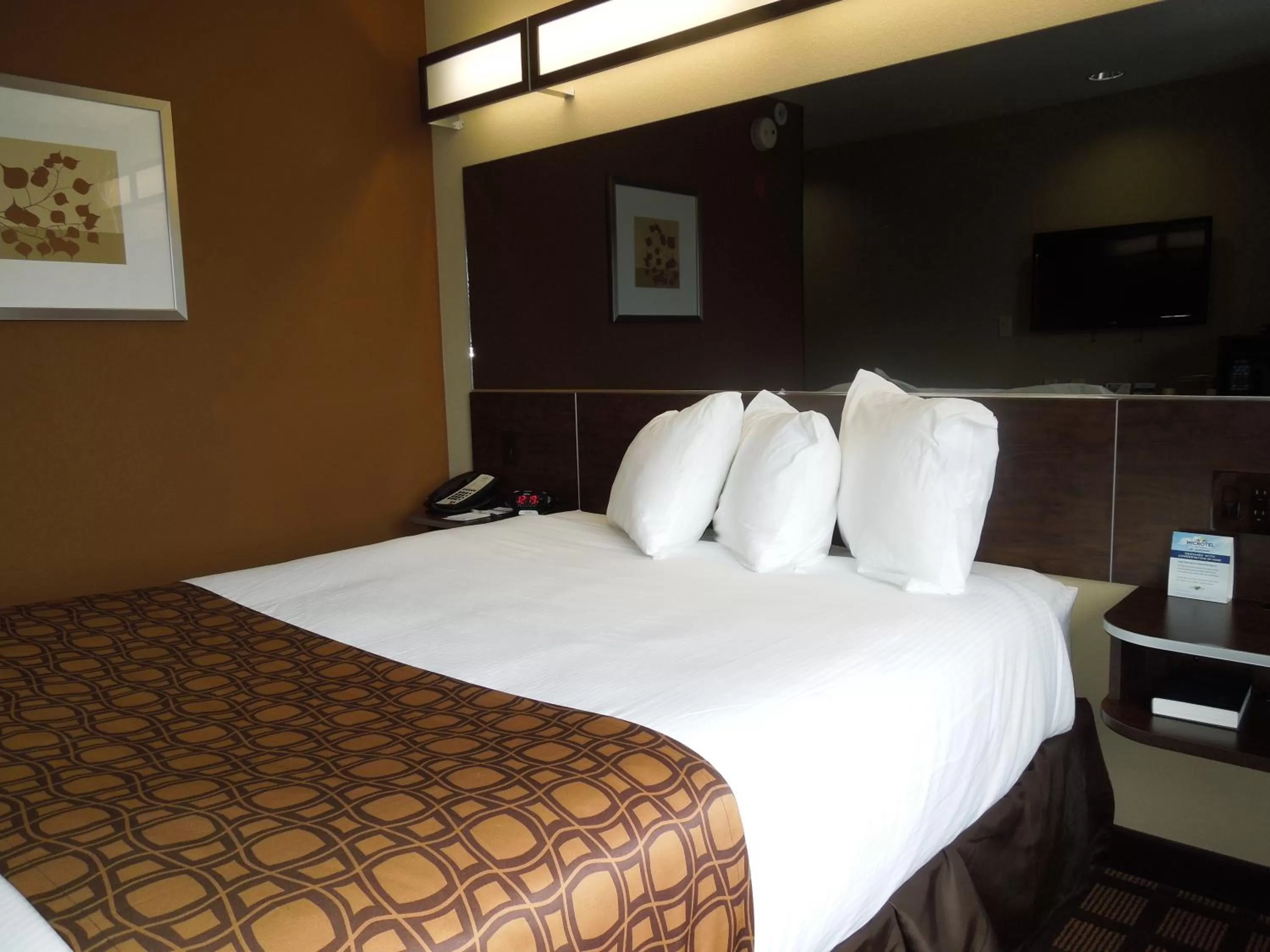 Queen Studio Suite - Mobility Access/Non-Smoking in Microtel Inn and Suites North Canton