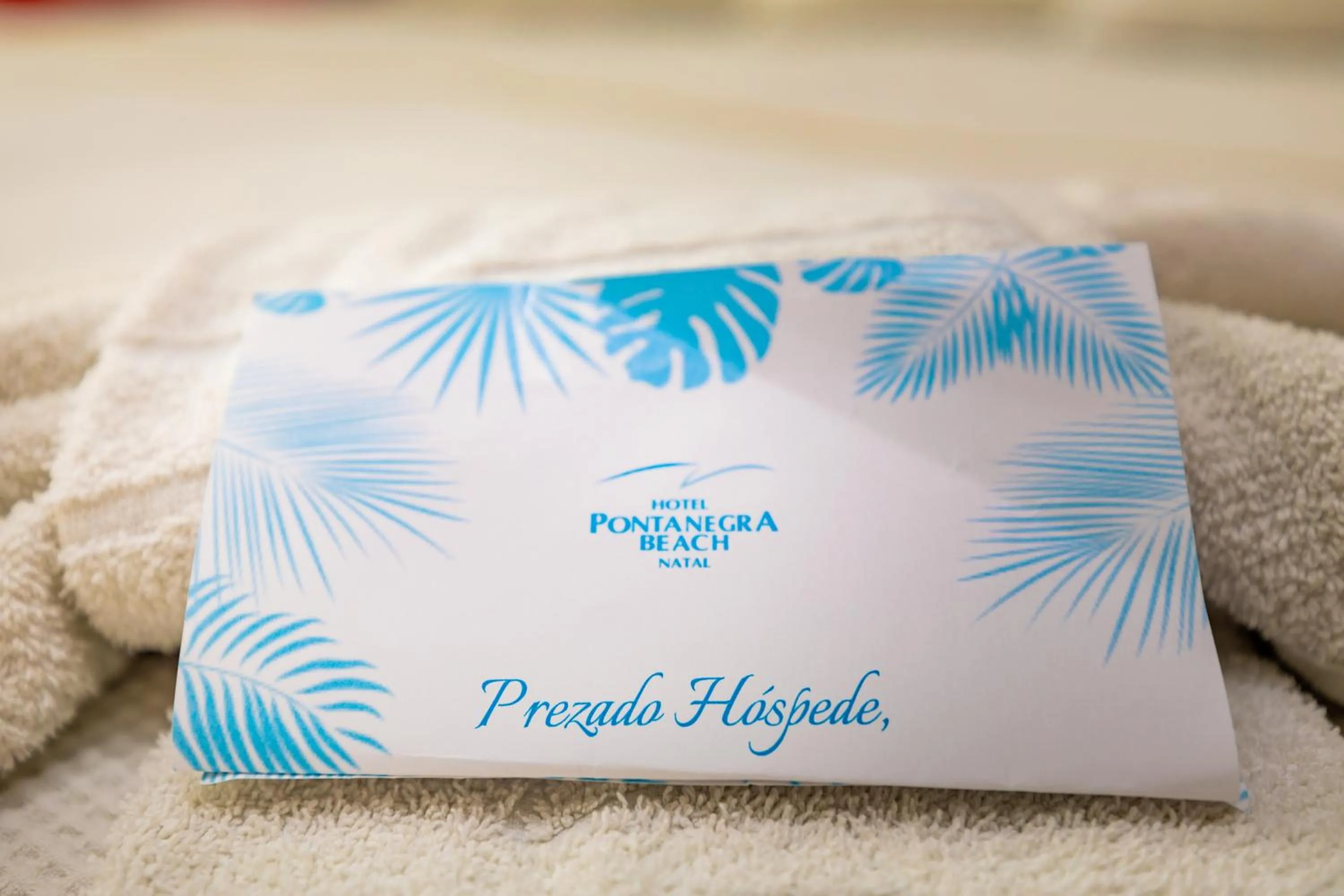 Deluxe Room in Hotel Ponta Negra Beach Natal