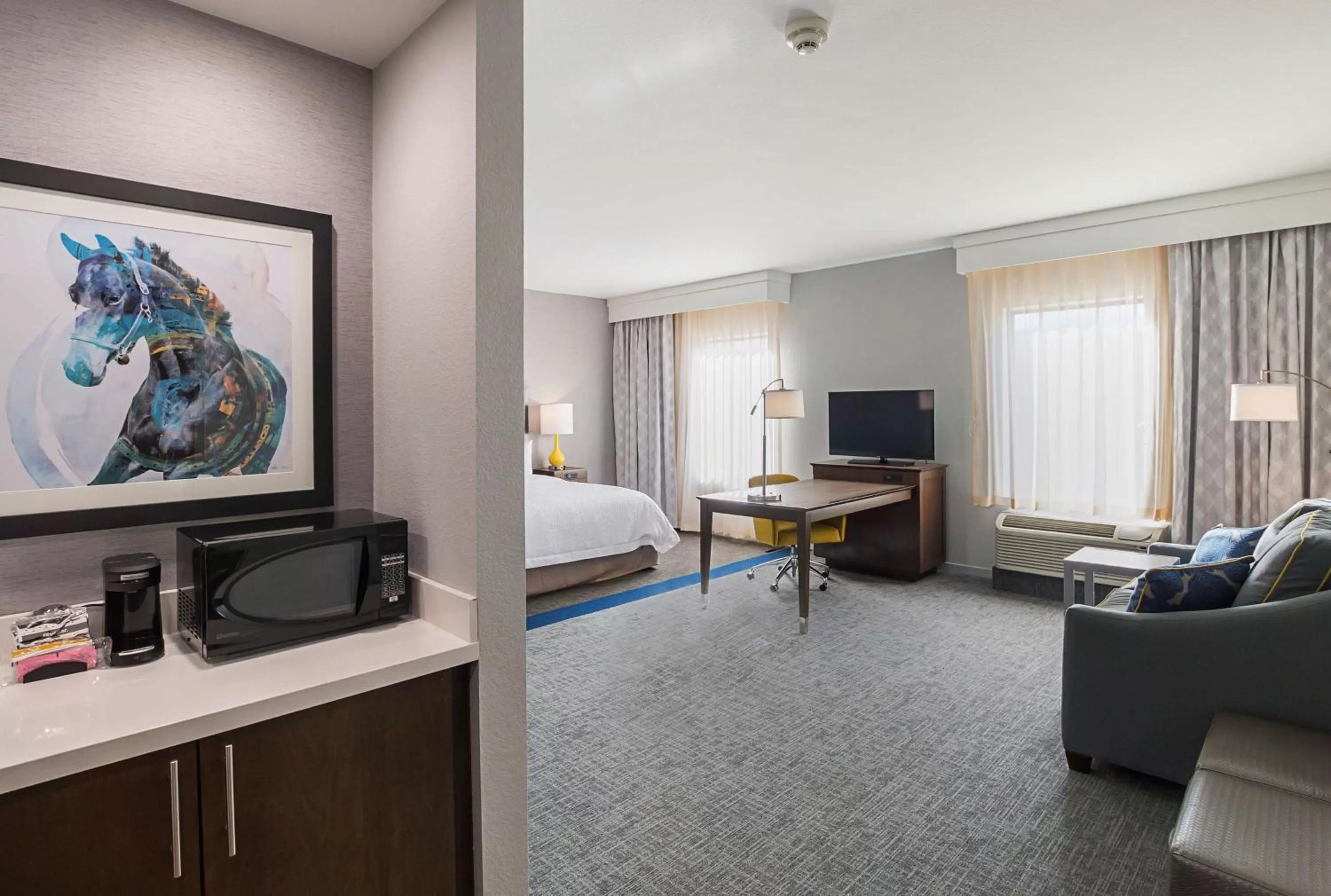 King Room with Sofa Bed - Mobility Accessible/Non-Smoking in Hampton Inn & Suites Colleyville DFW Airport West