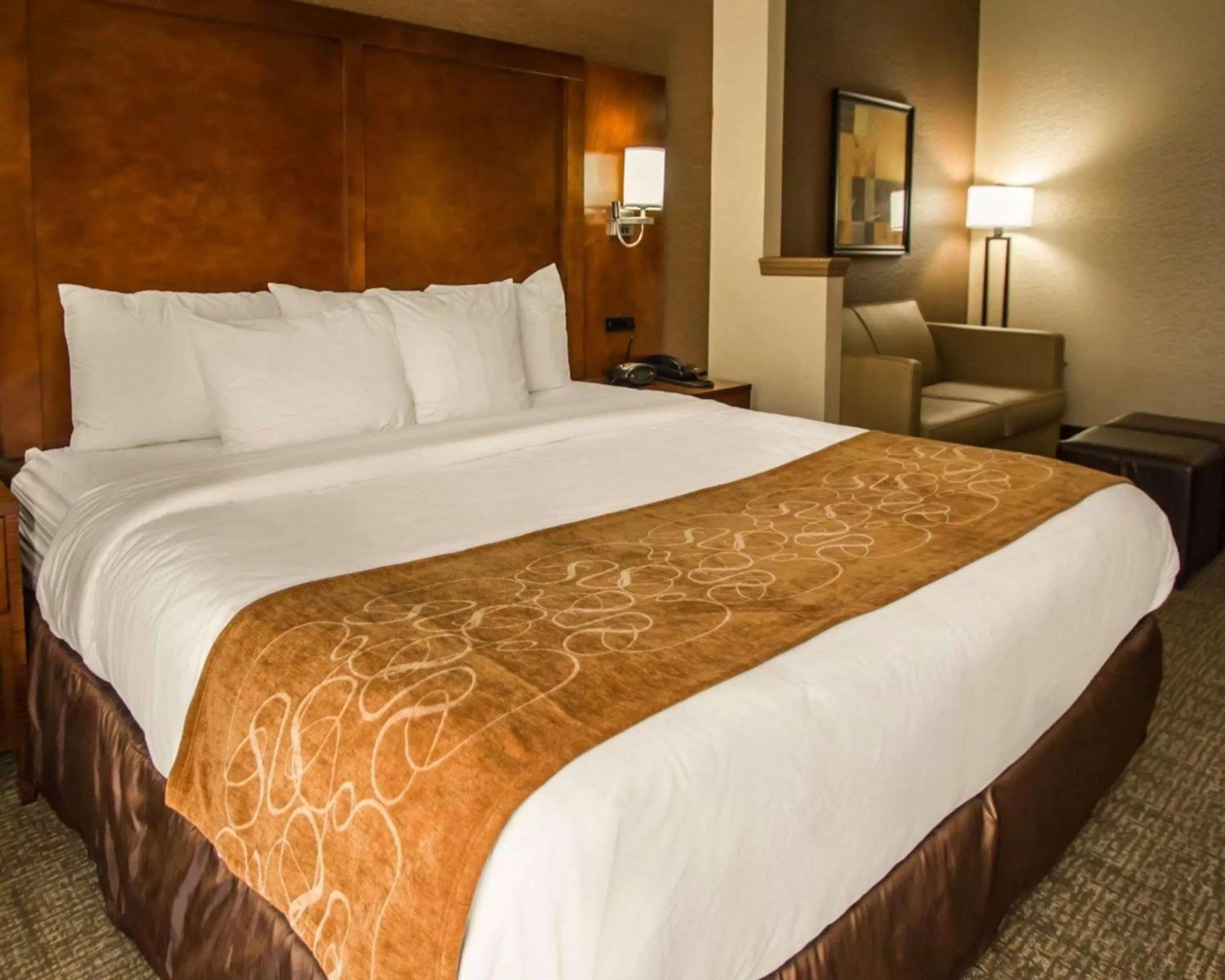 King Suite - Non-Smoking in Quality Suites NYC Gateway