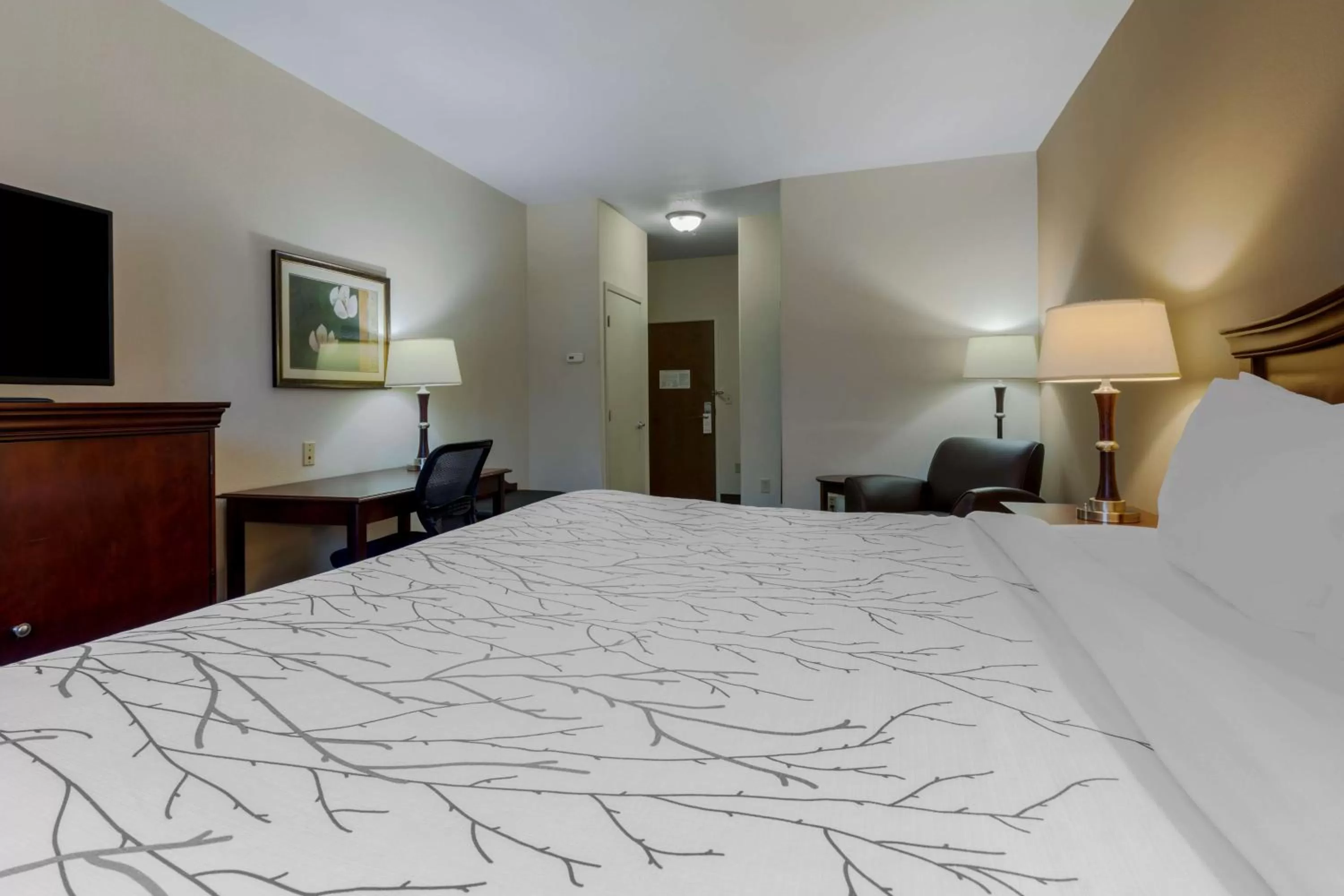 King Room - Non-Smoking/Pet Friendly in Best Western Plus Sweetwater Inn & Suites