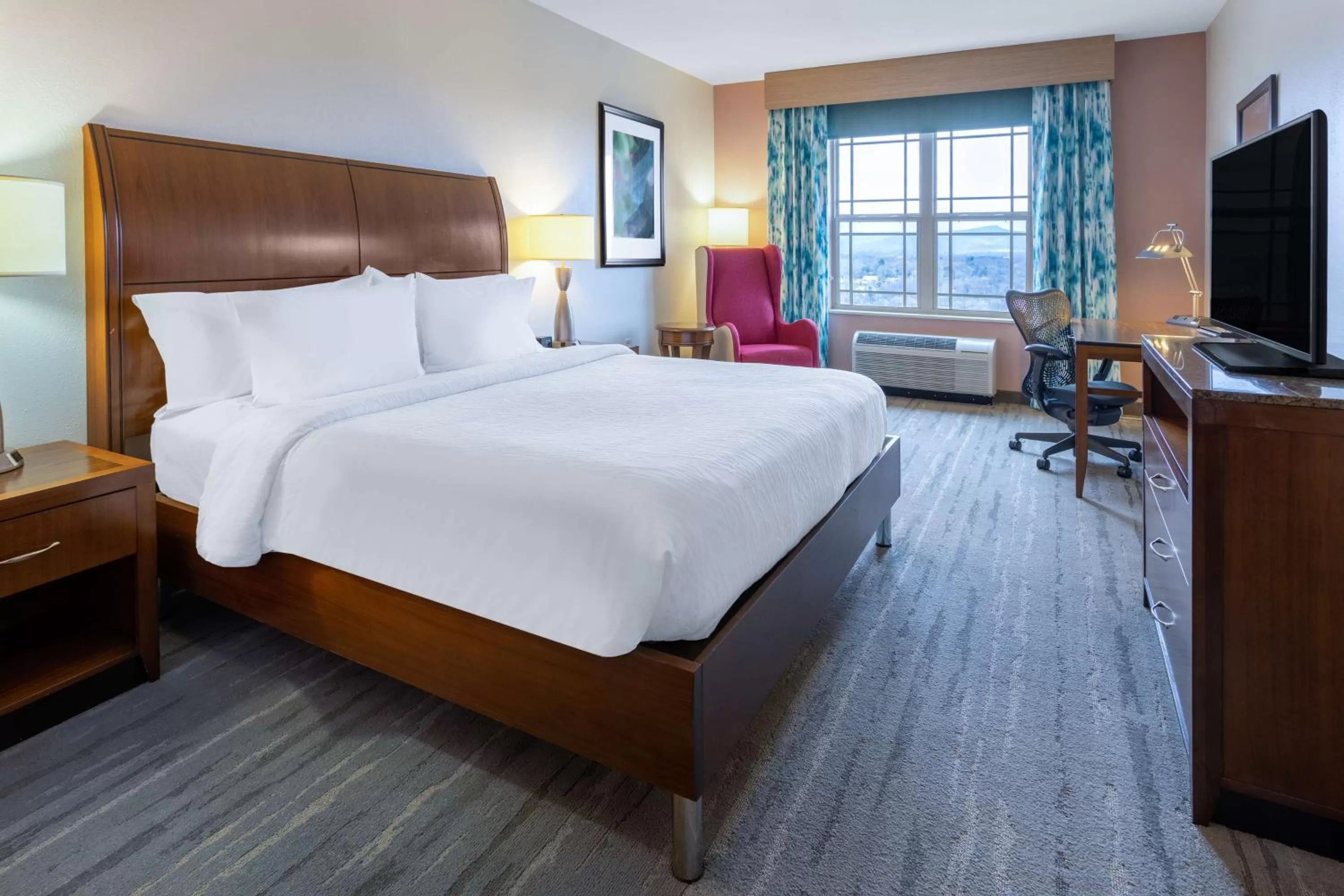 Premium King Room in Hilton Garden Inn Roanoke