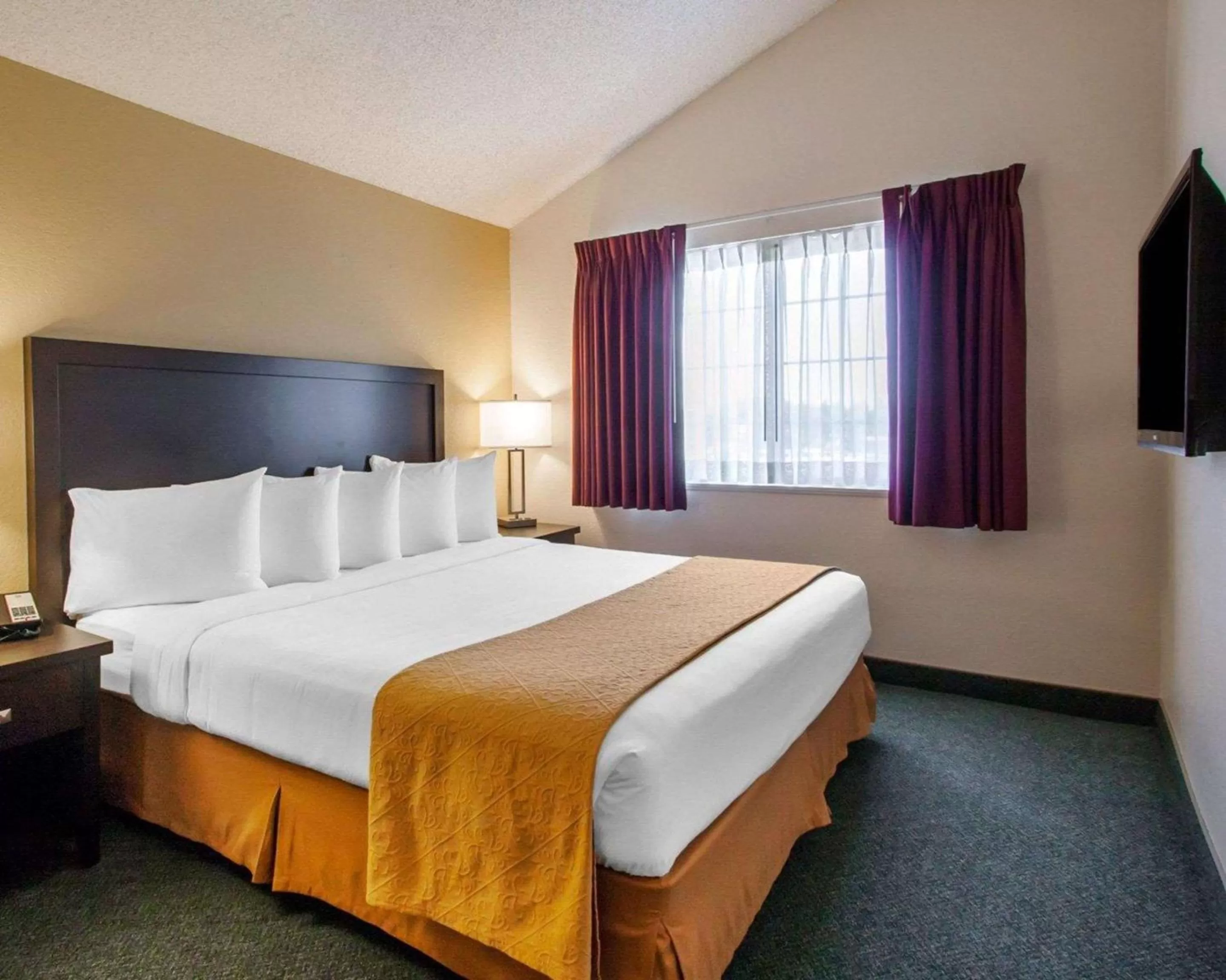 King Suite - Accessible/Non-Smoking in Quality Inn & Suites Springfield - Eugene North
