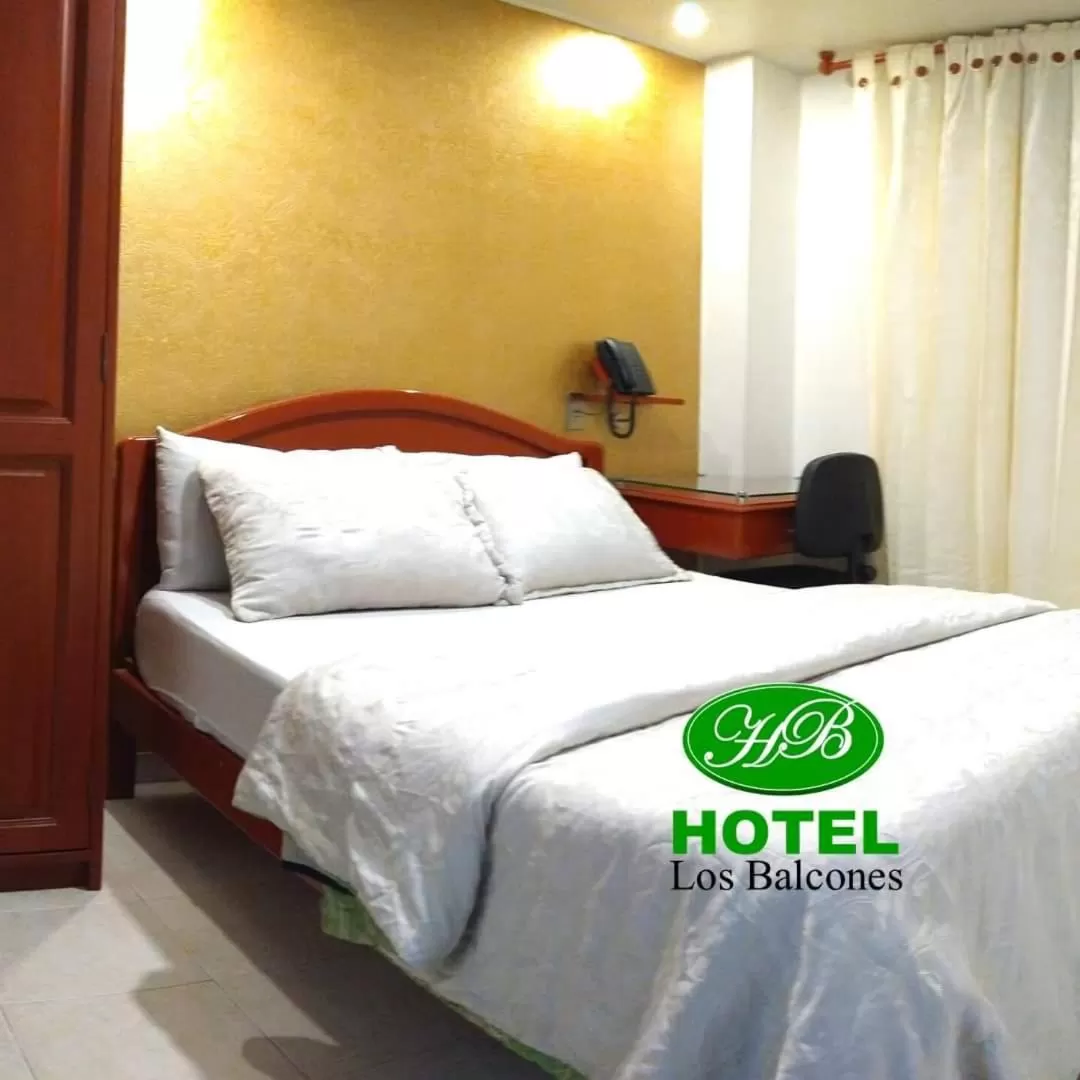 Double Room in HOTEL LOS BALCONES