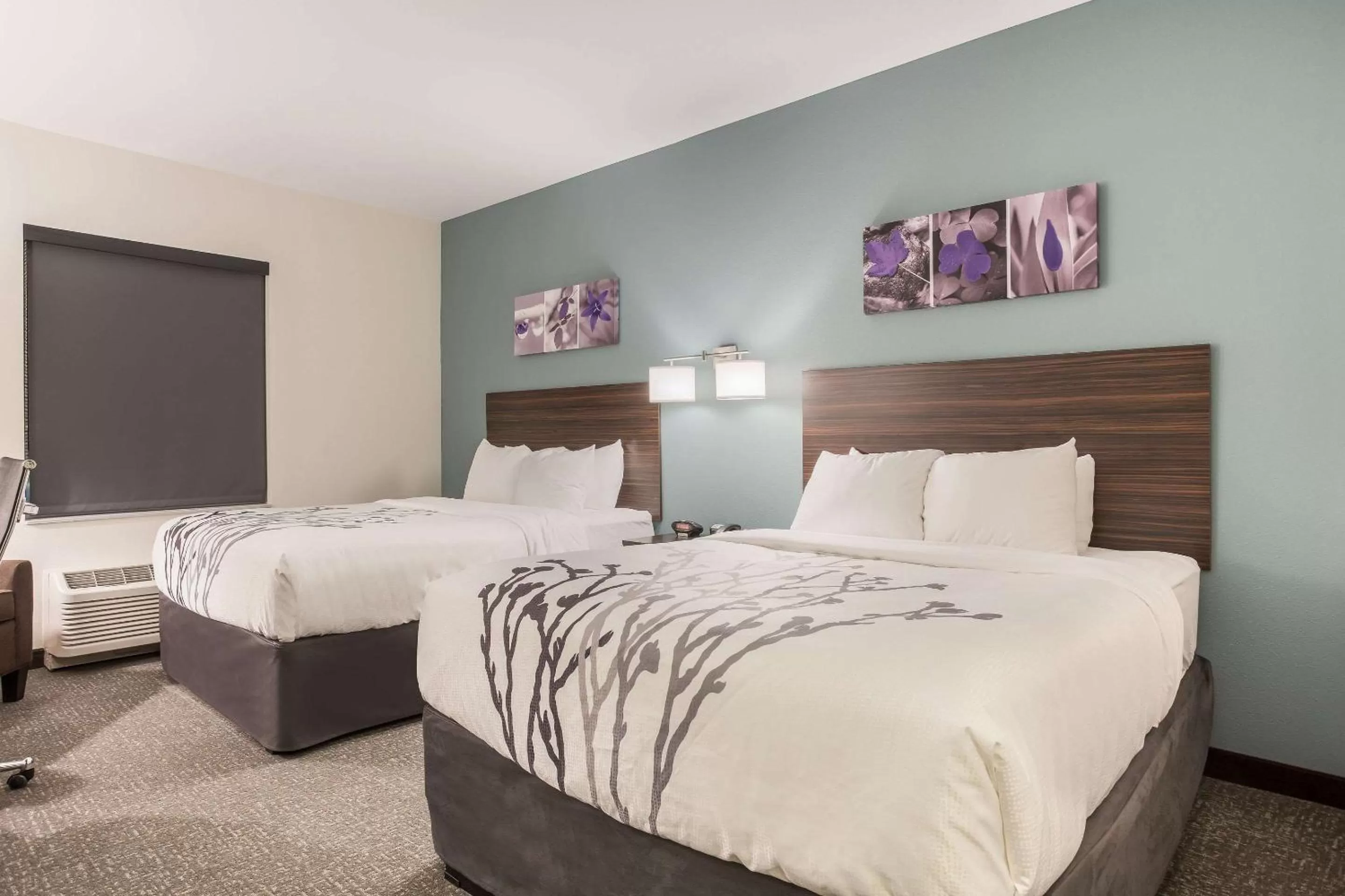 Standard Queen Room with Two Queen Beds - Non Smoking  in Sleep Inn & Suites Webb City