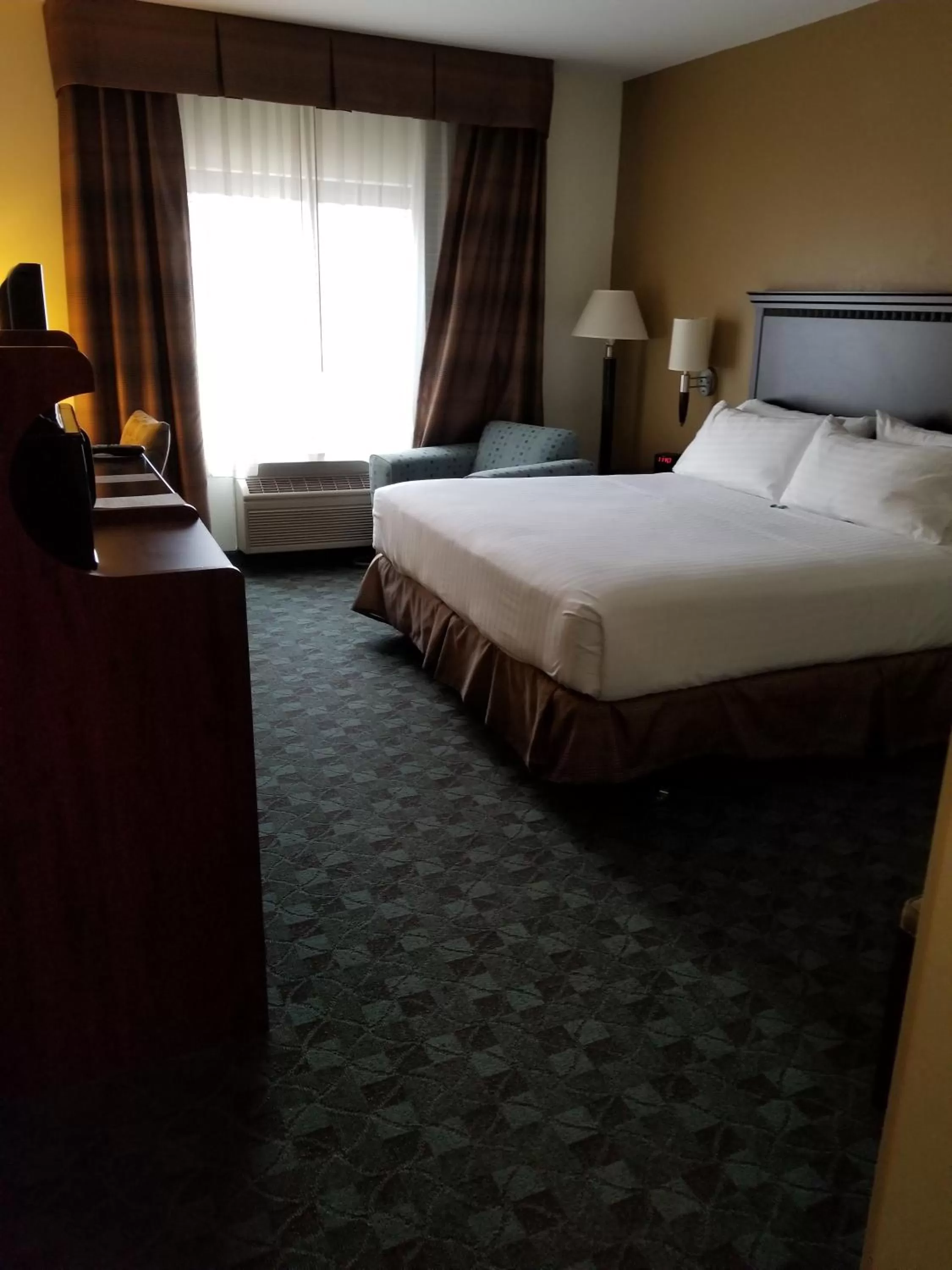 One-Bedroom King Suite in Holiday Inn Express Hotel & Suites Canton by IHG