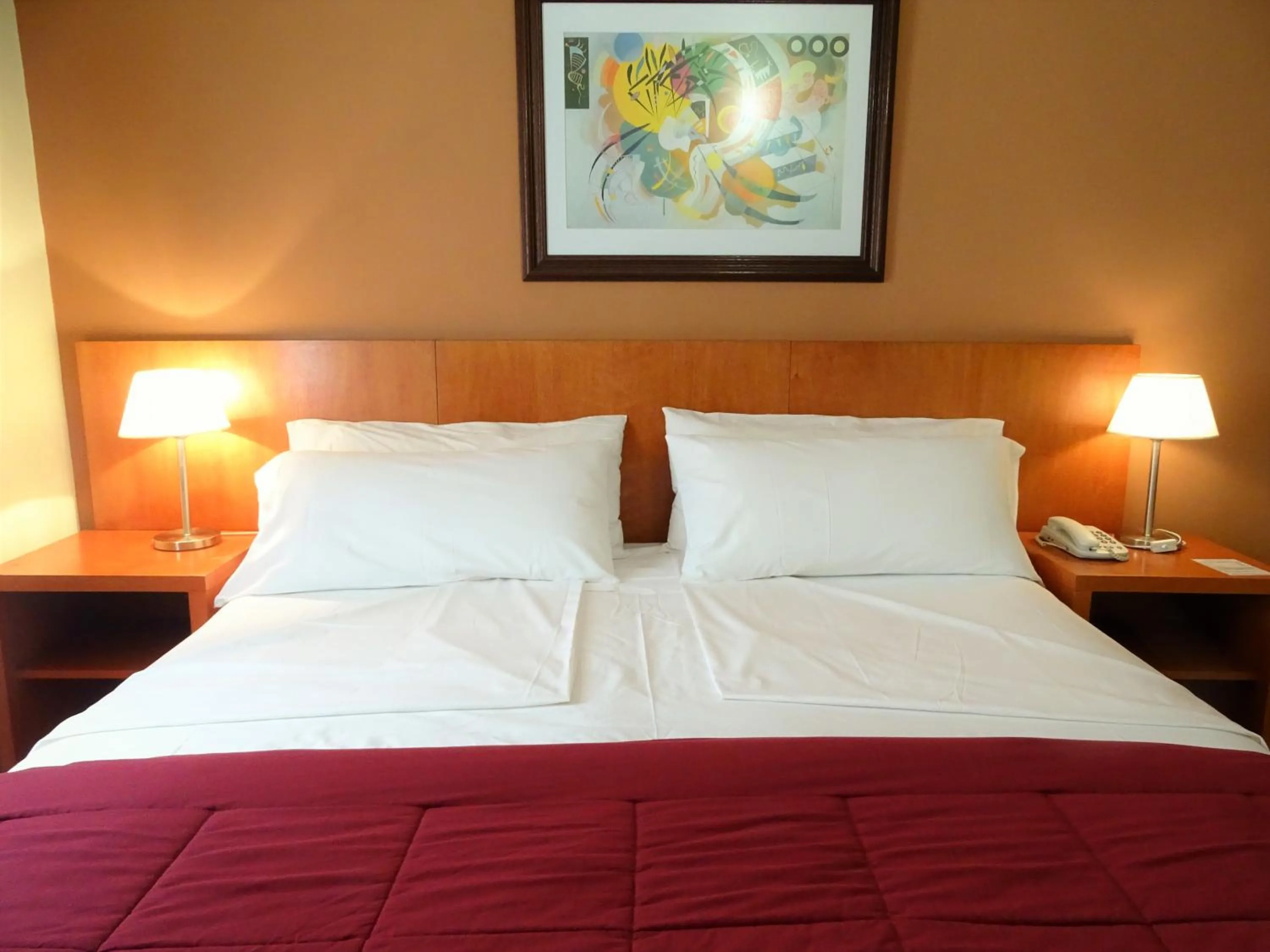 Double Room - single occupancy in Hotel UTHGRA de las Luces
