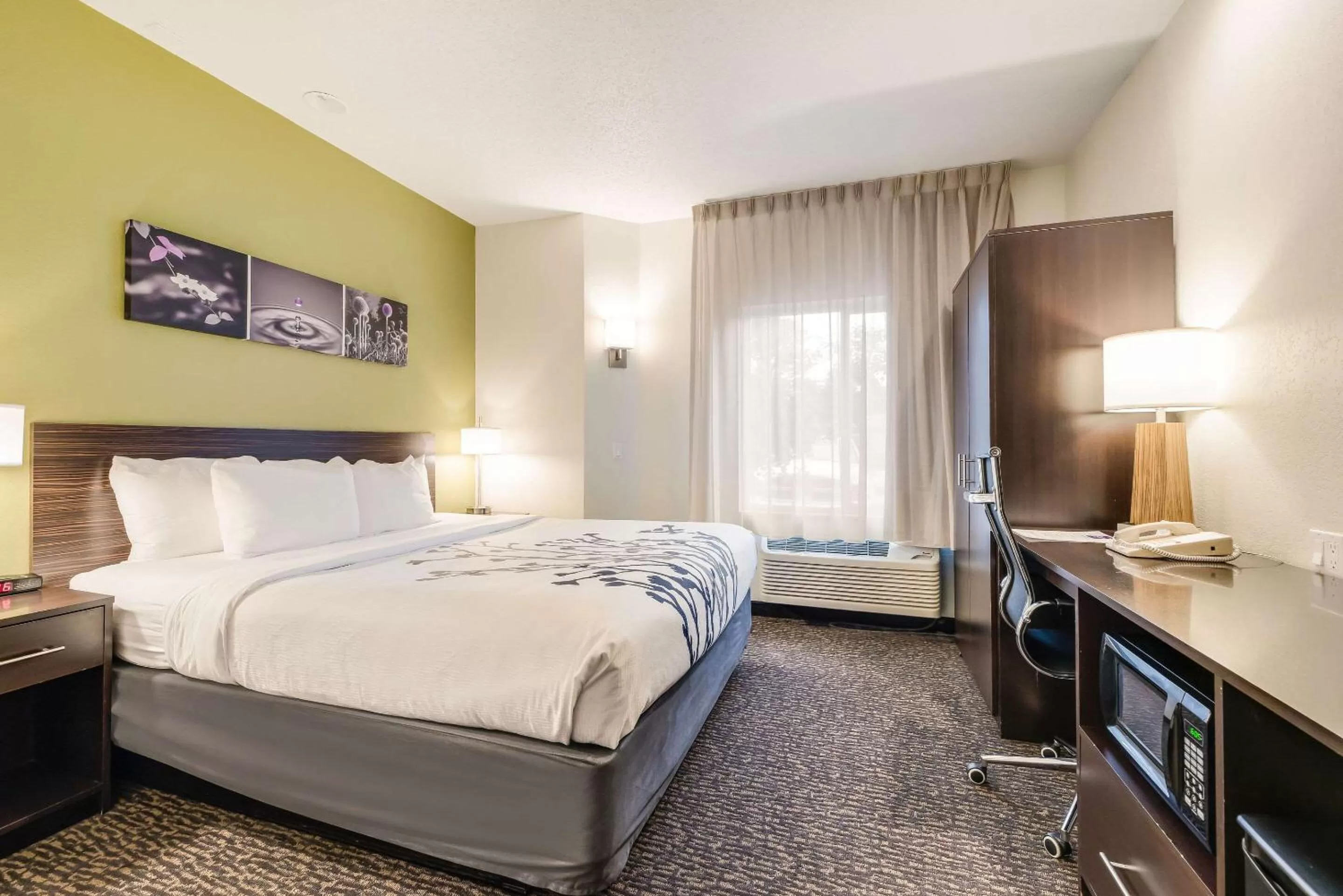 King Room in Sleep Inn Flagstaff