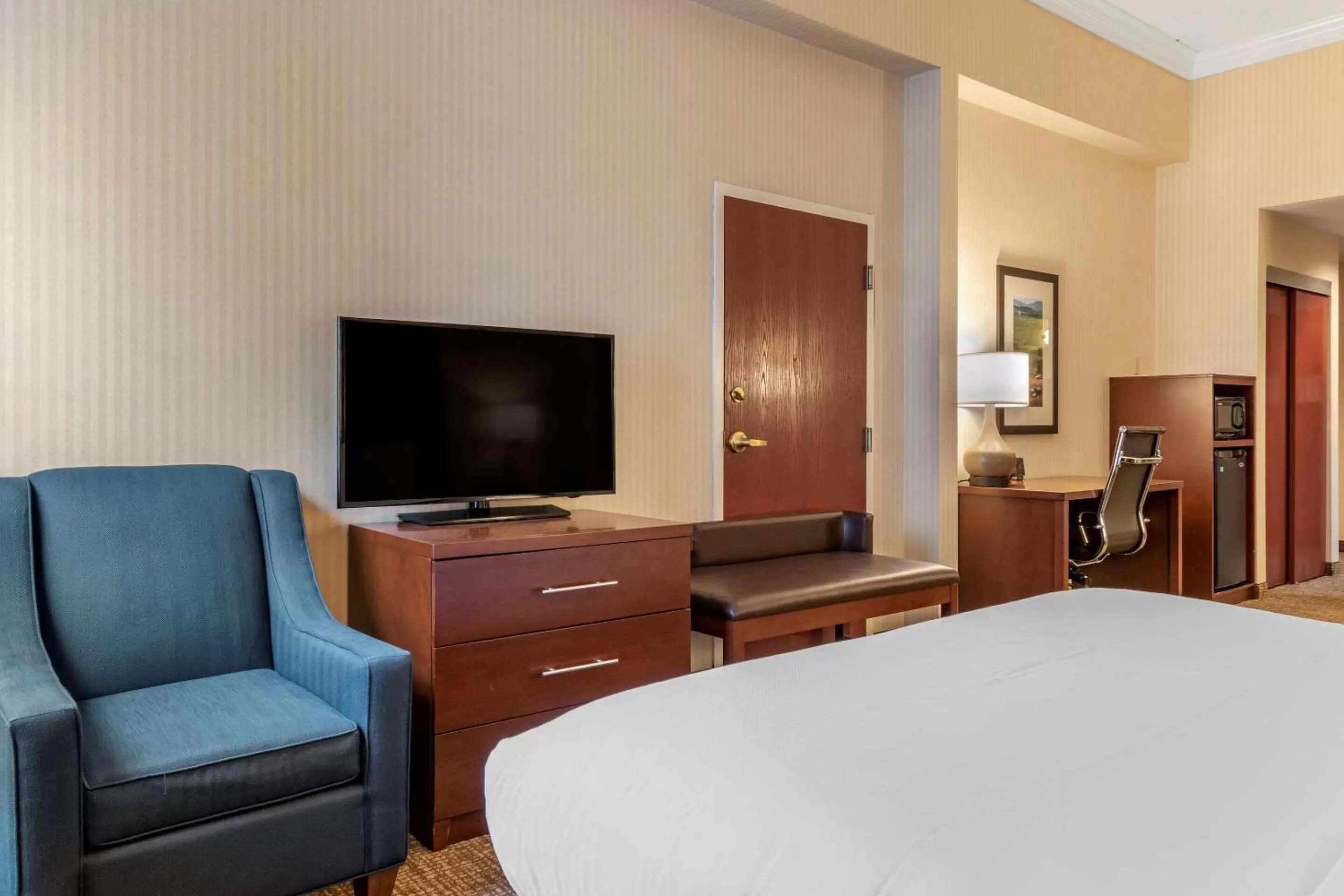 King Suite - Disability Access/Non-Smoking in Comfort Suites Downtown Carlisle