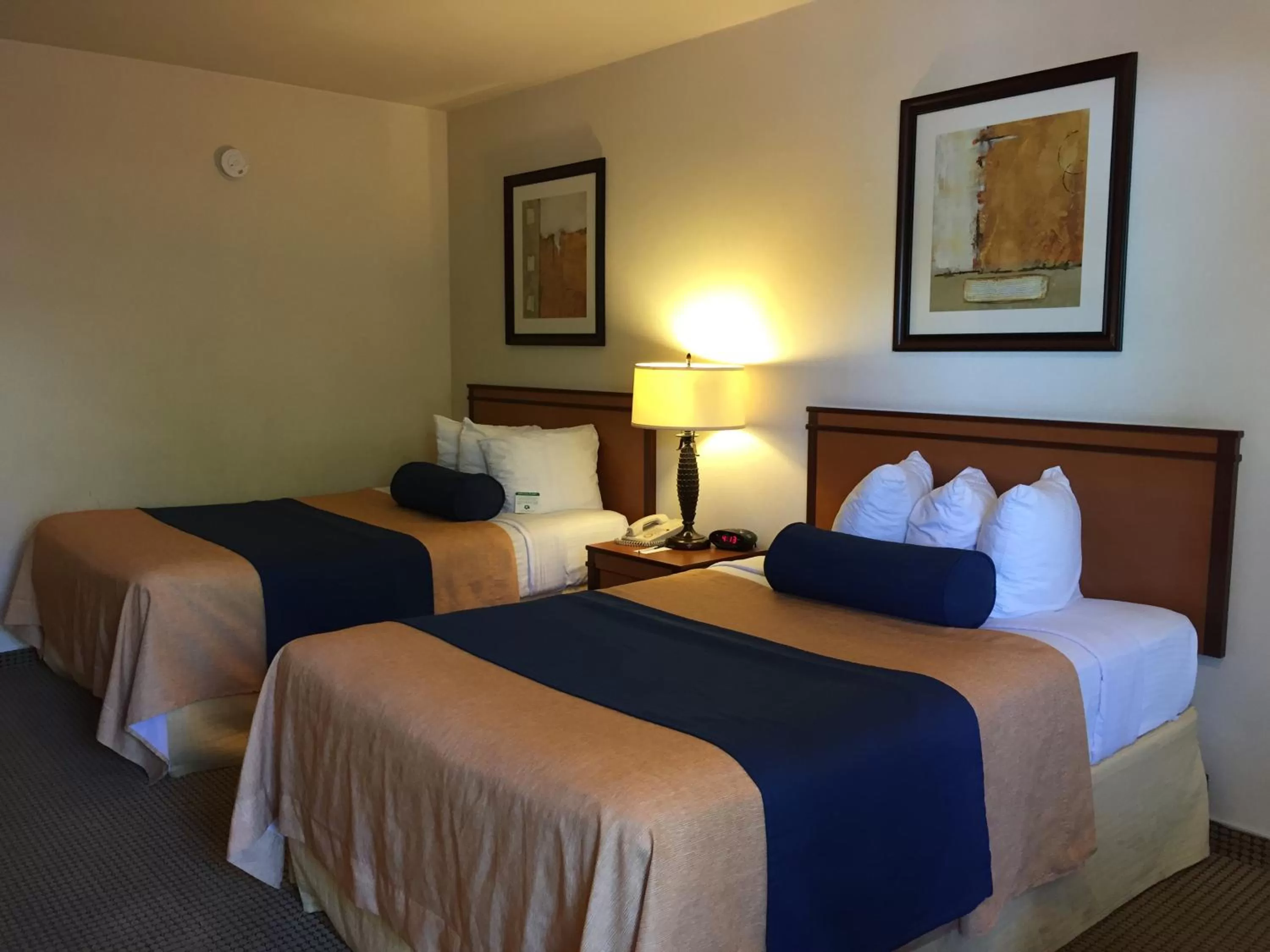 Standard Double Room with Two Double Beds in Mikado Hotel