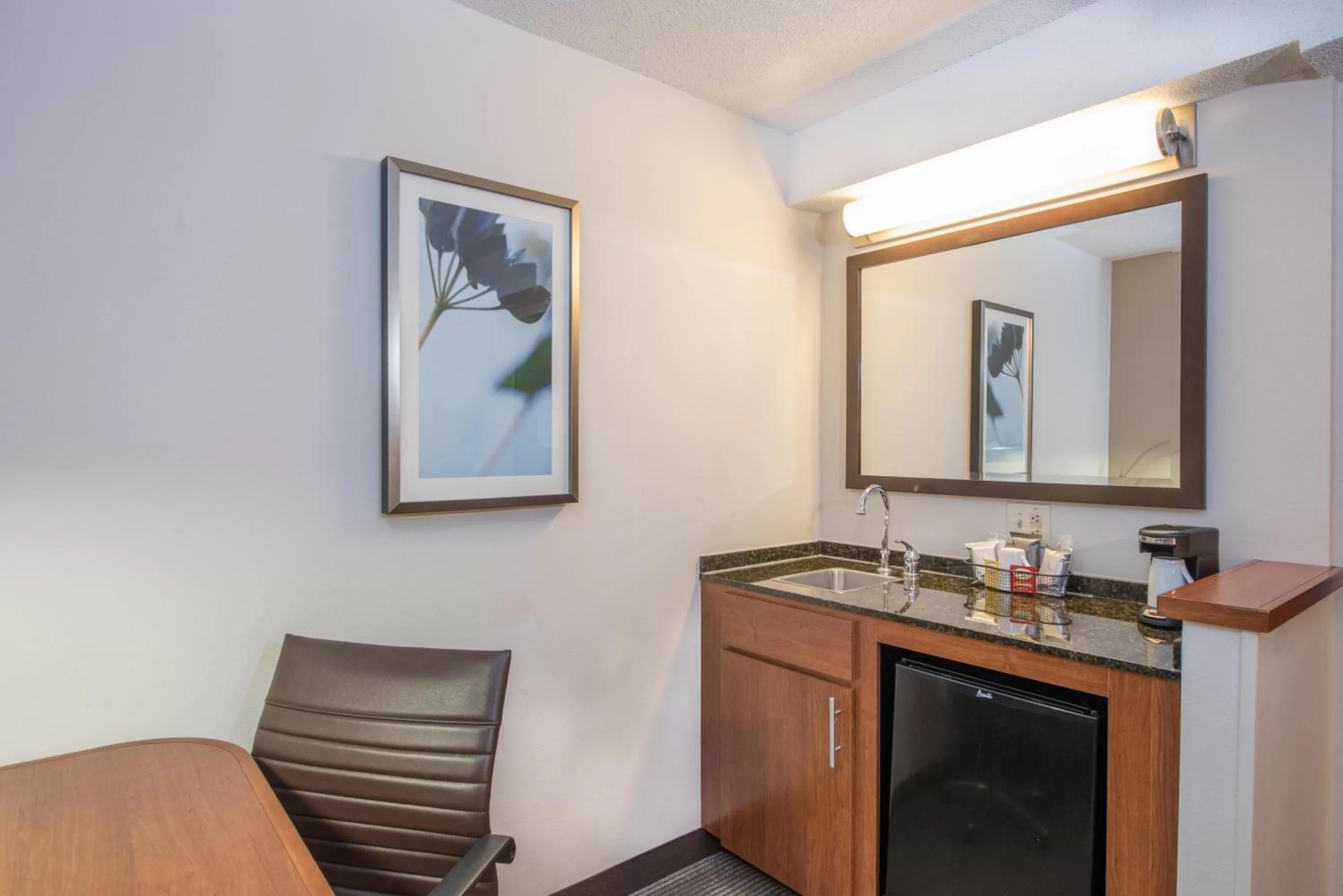 King Room with Sofa Bed and Accessible Tub - Disability Access in Hyatt Place Eden Prairie