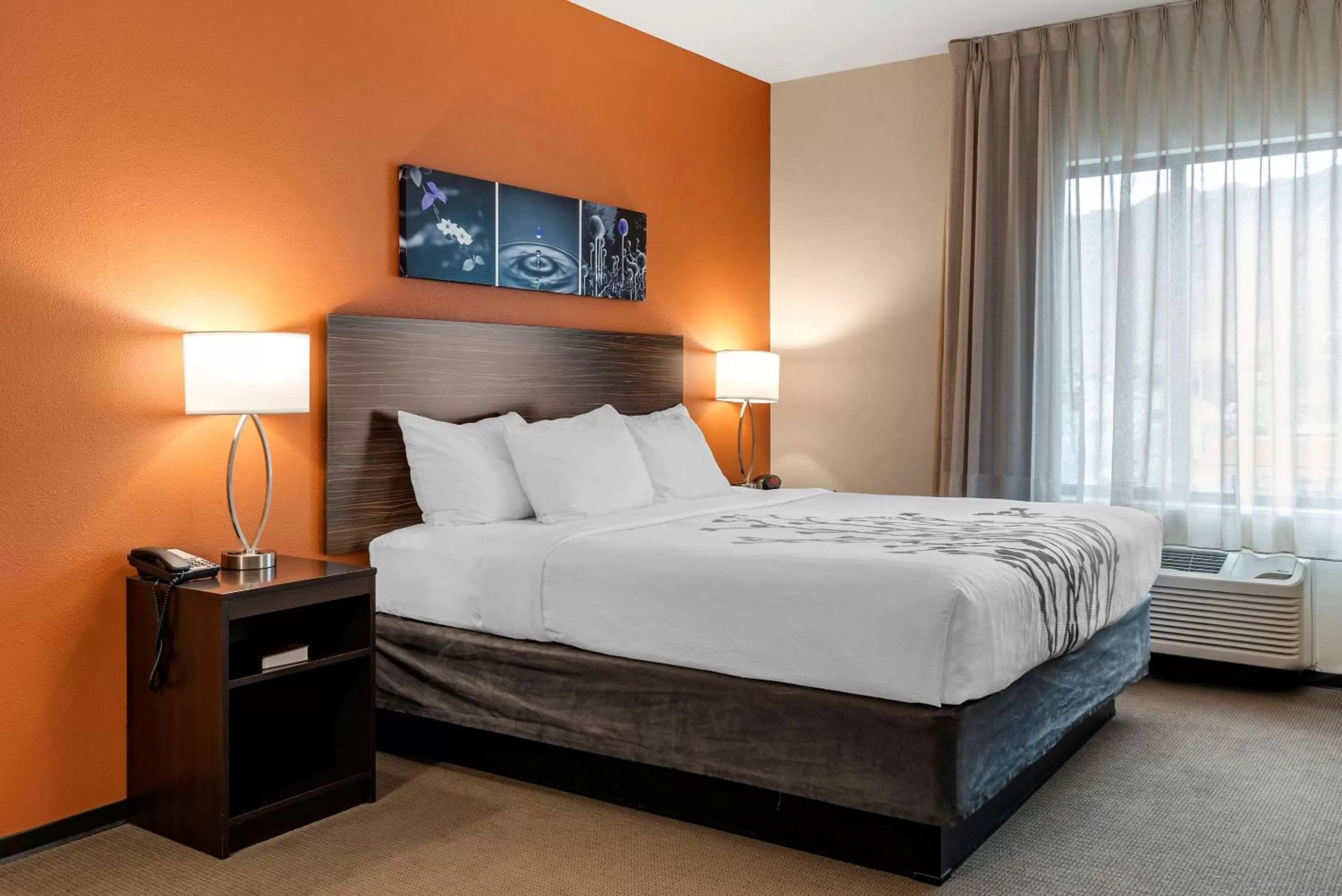 King Room - Non-Smoking in Sleep Inn & Suites Moab near Arches National Park