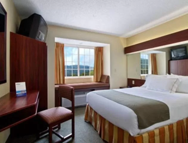 King Suite - Non-Smoking in Microtel Inn and Suites Gassaway