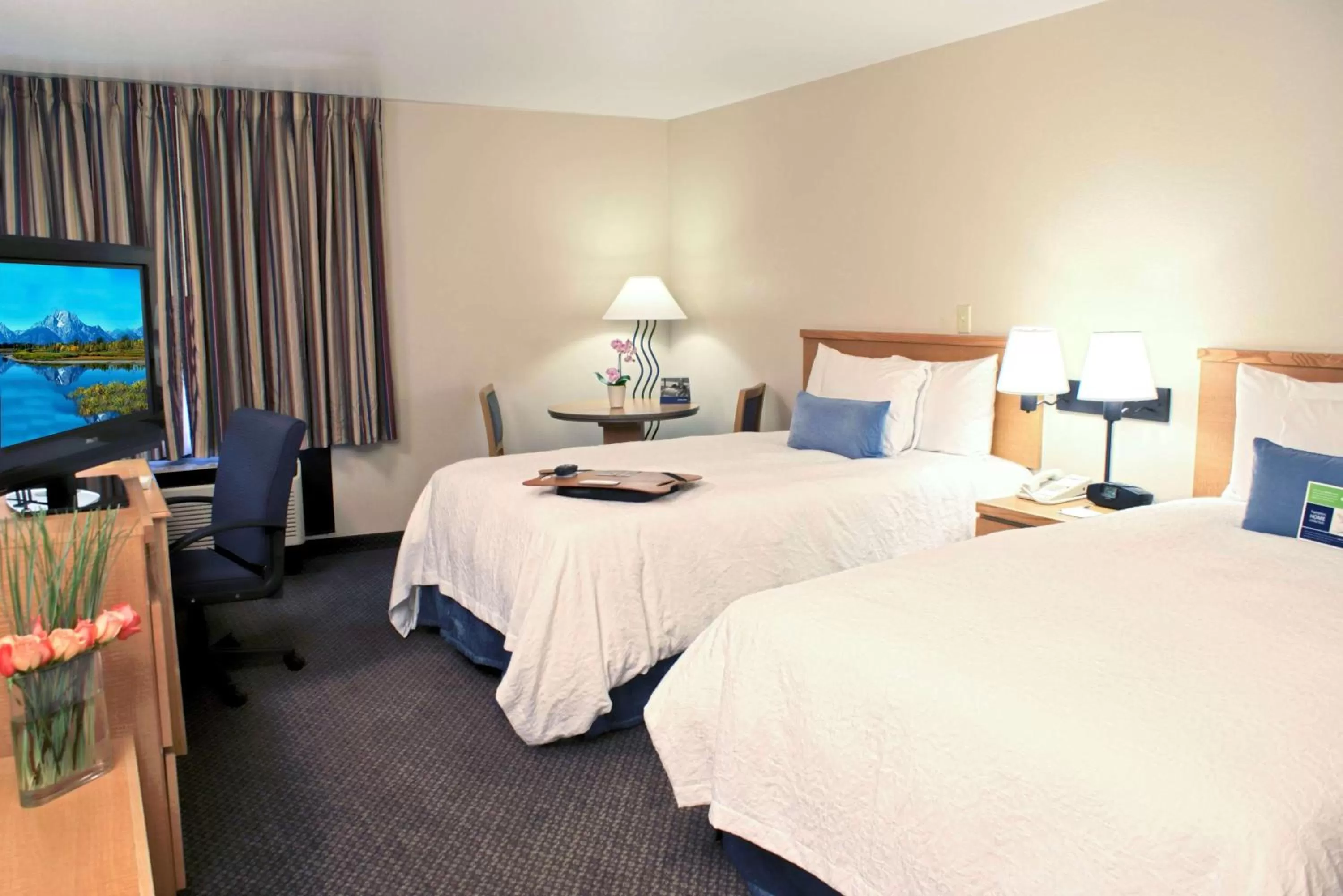 Double Room - Non-Smoking  in Hampton Inn Las Vegas/Summerlin