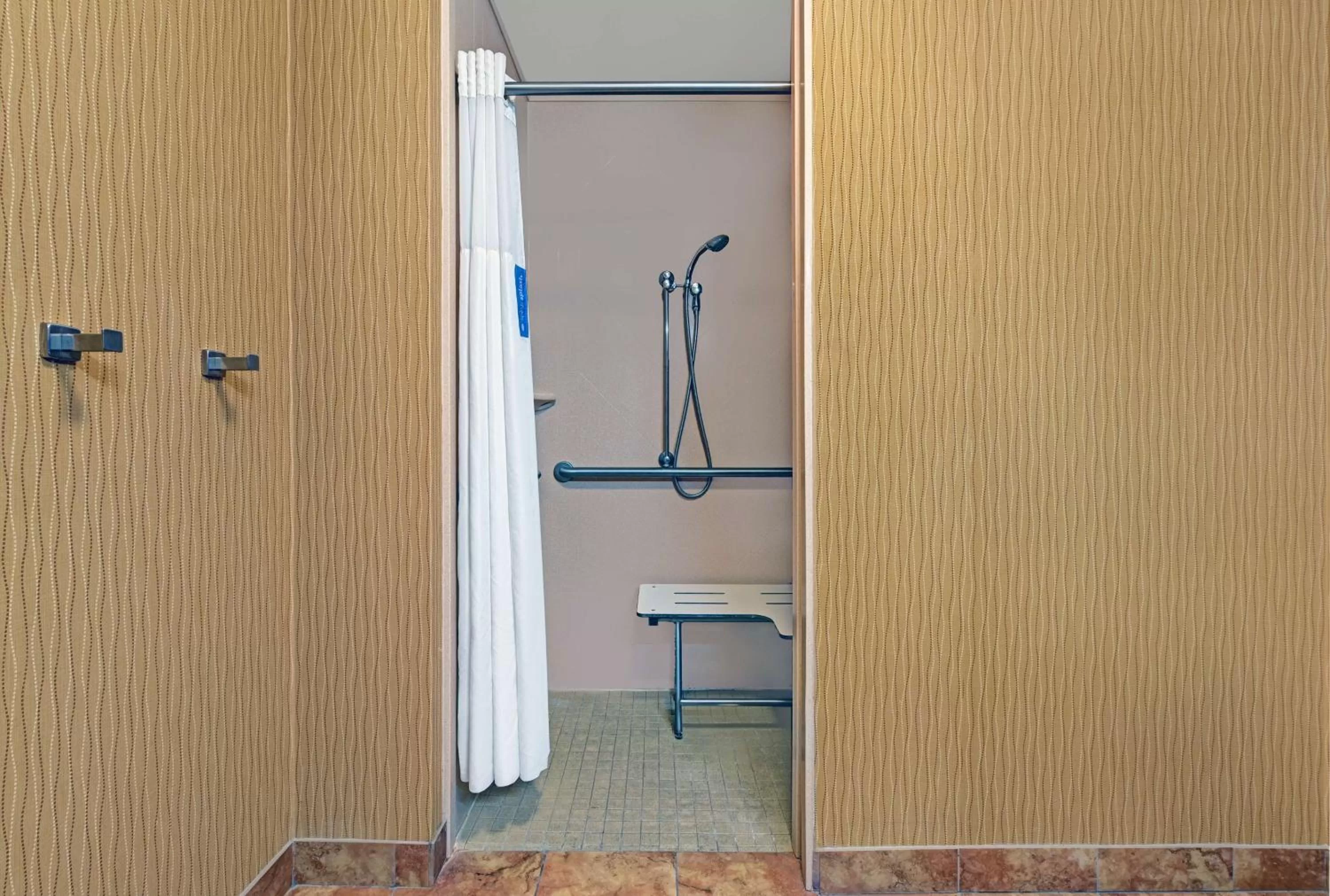 Bathroom in Hampton Inn By Hilton Deming