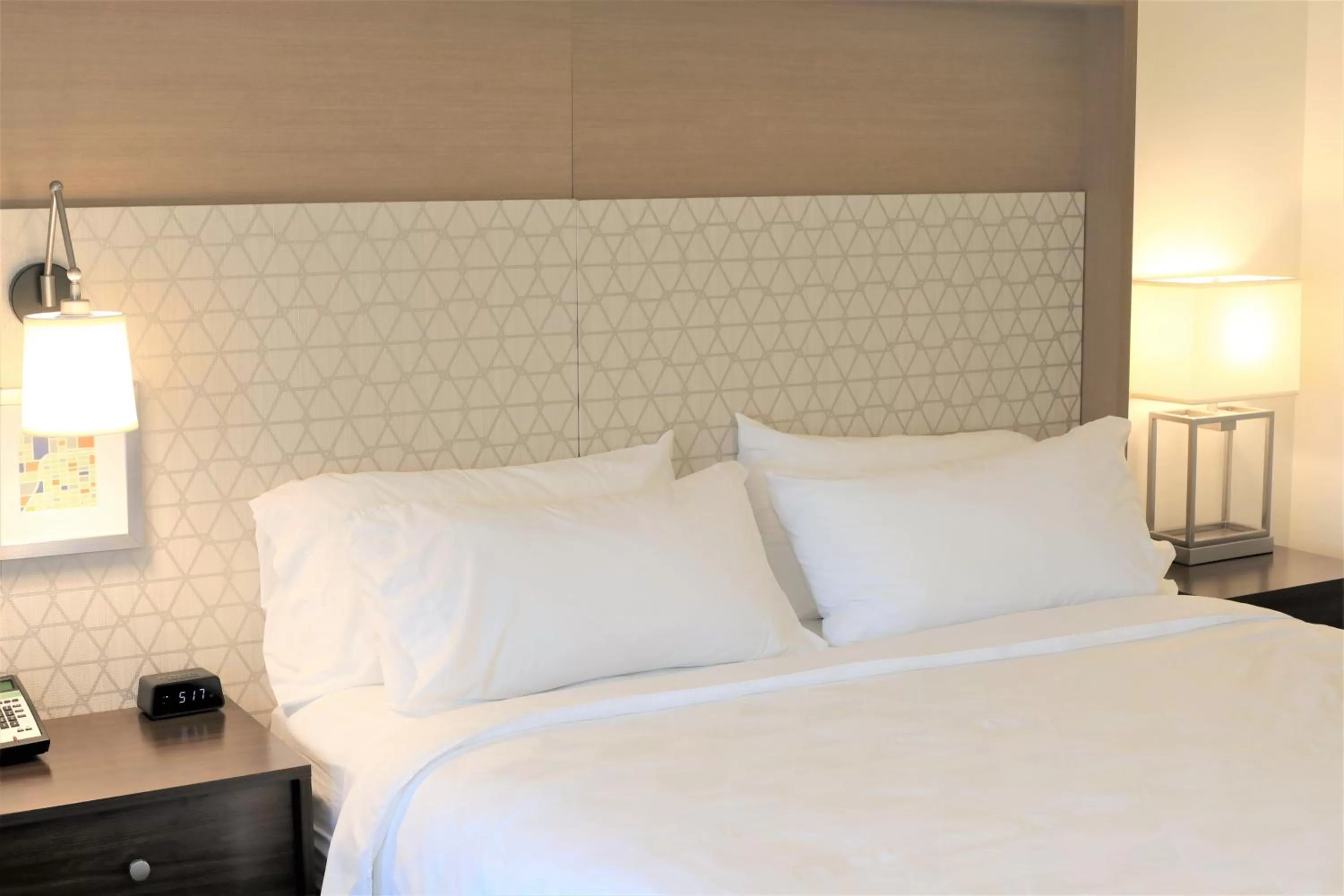 Standard King Room in Holiday Inn & Suites St. Cloud by IHG