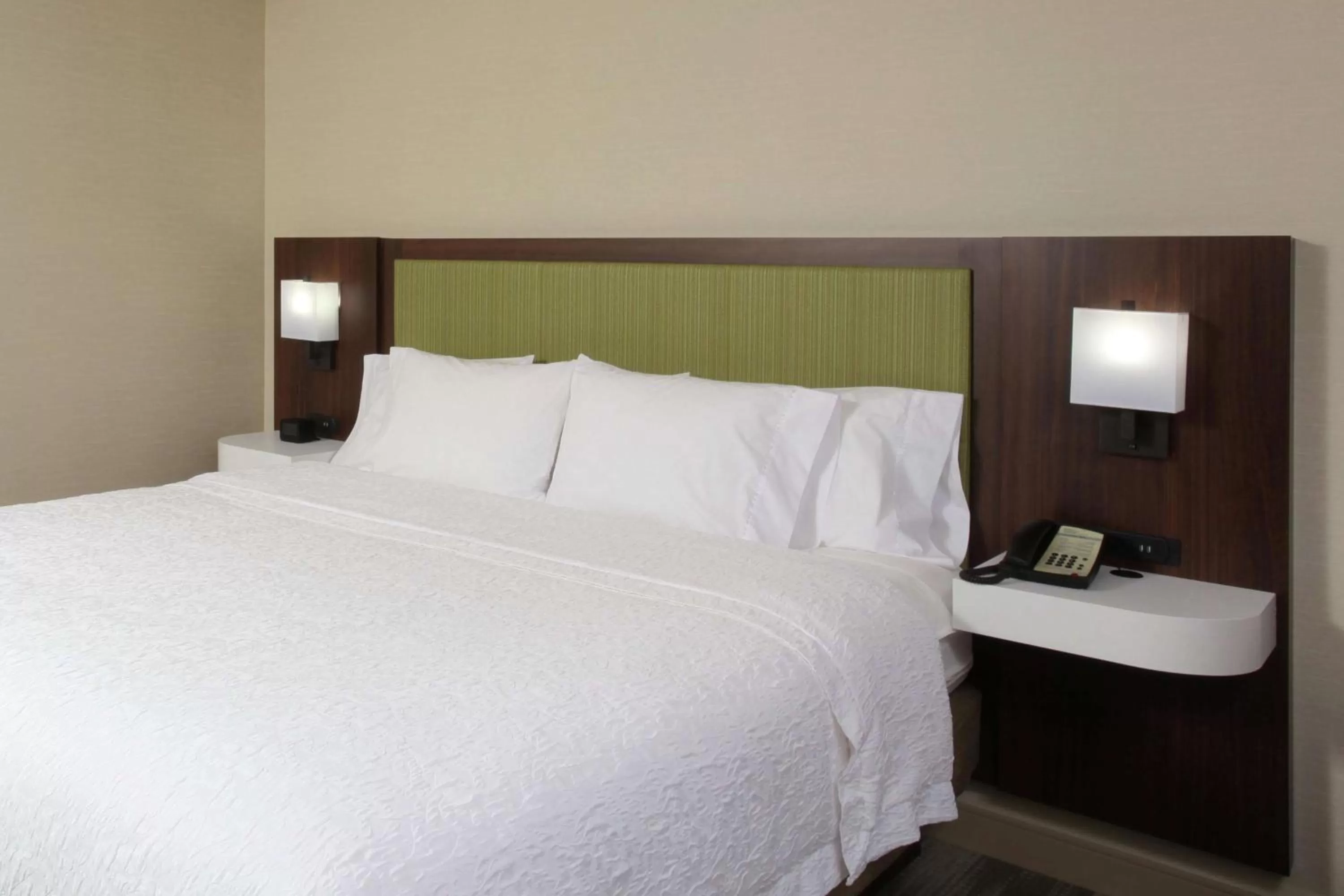King Studio with River View in Hampton Inn Richland-Tri Cities