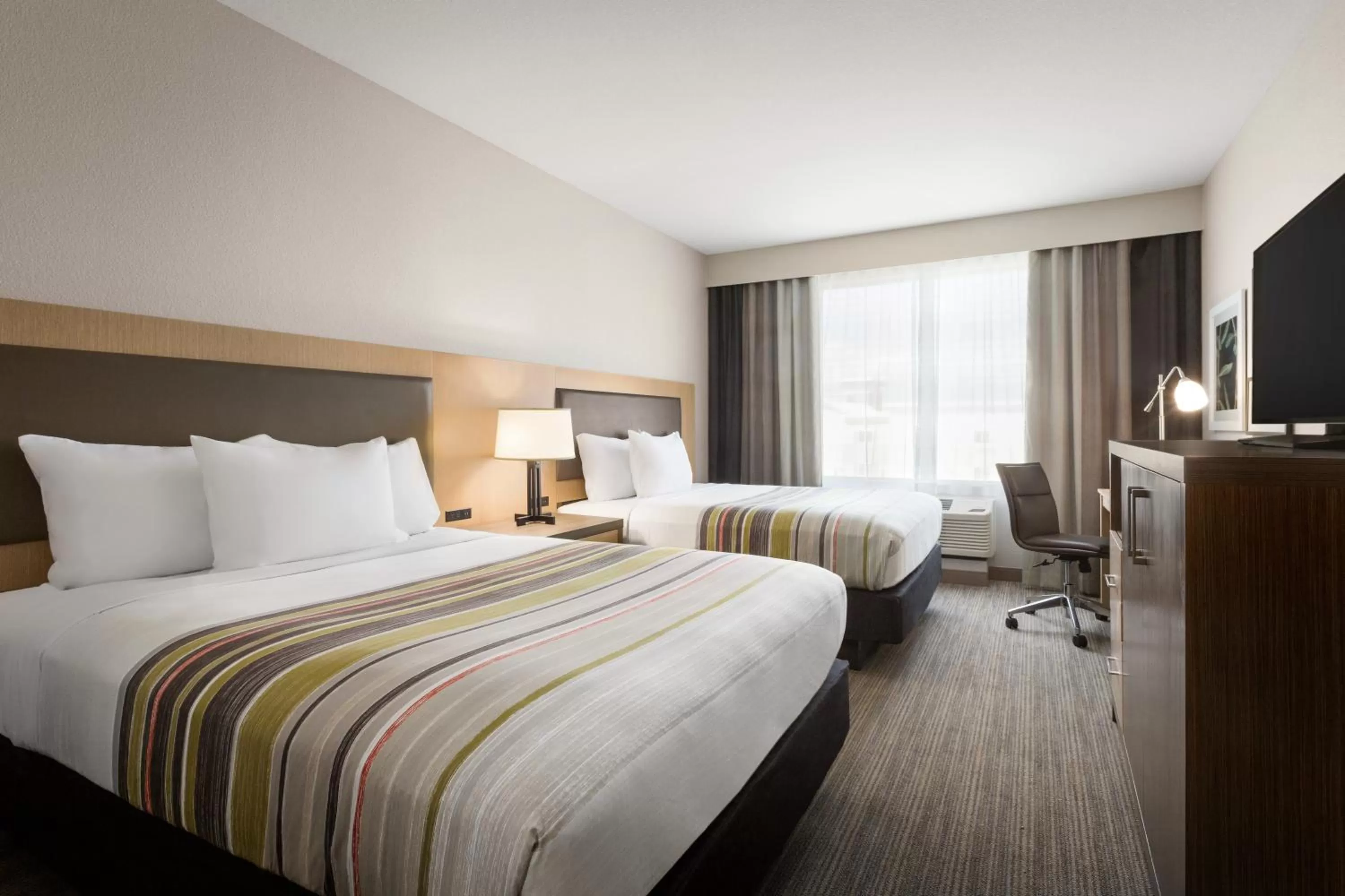 Studio Suite with Two Queen Beds and Sofa Bed - Non-Smoking in Country Inn & Suites by Radisson, New Braunfels, TX