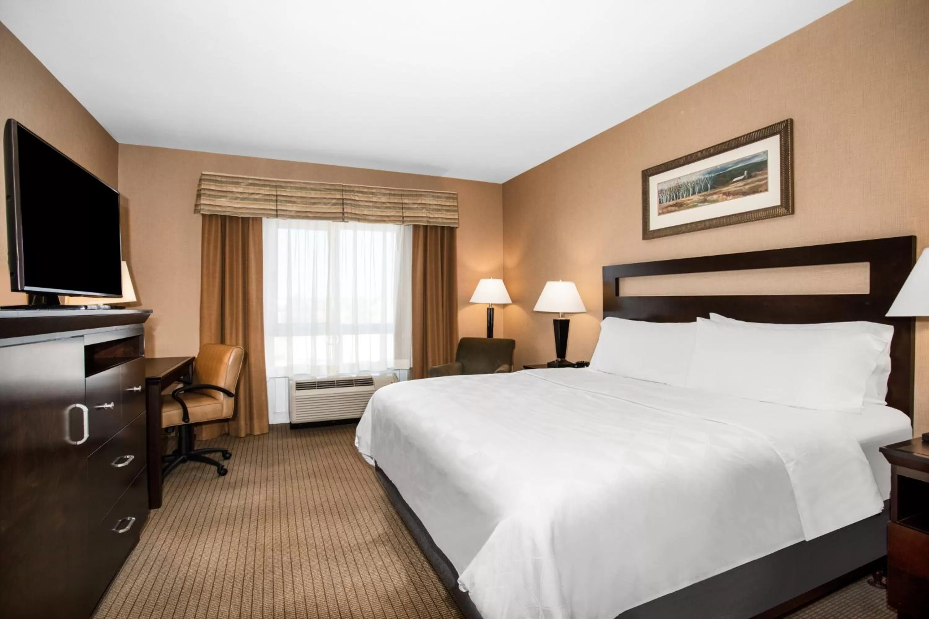 One-Bedroom King Suite in Holiday Inn Laramie by IHG