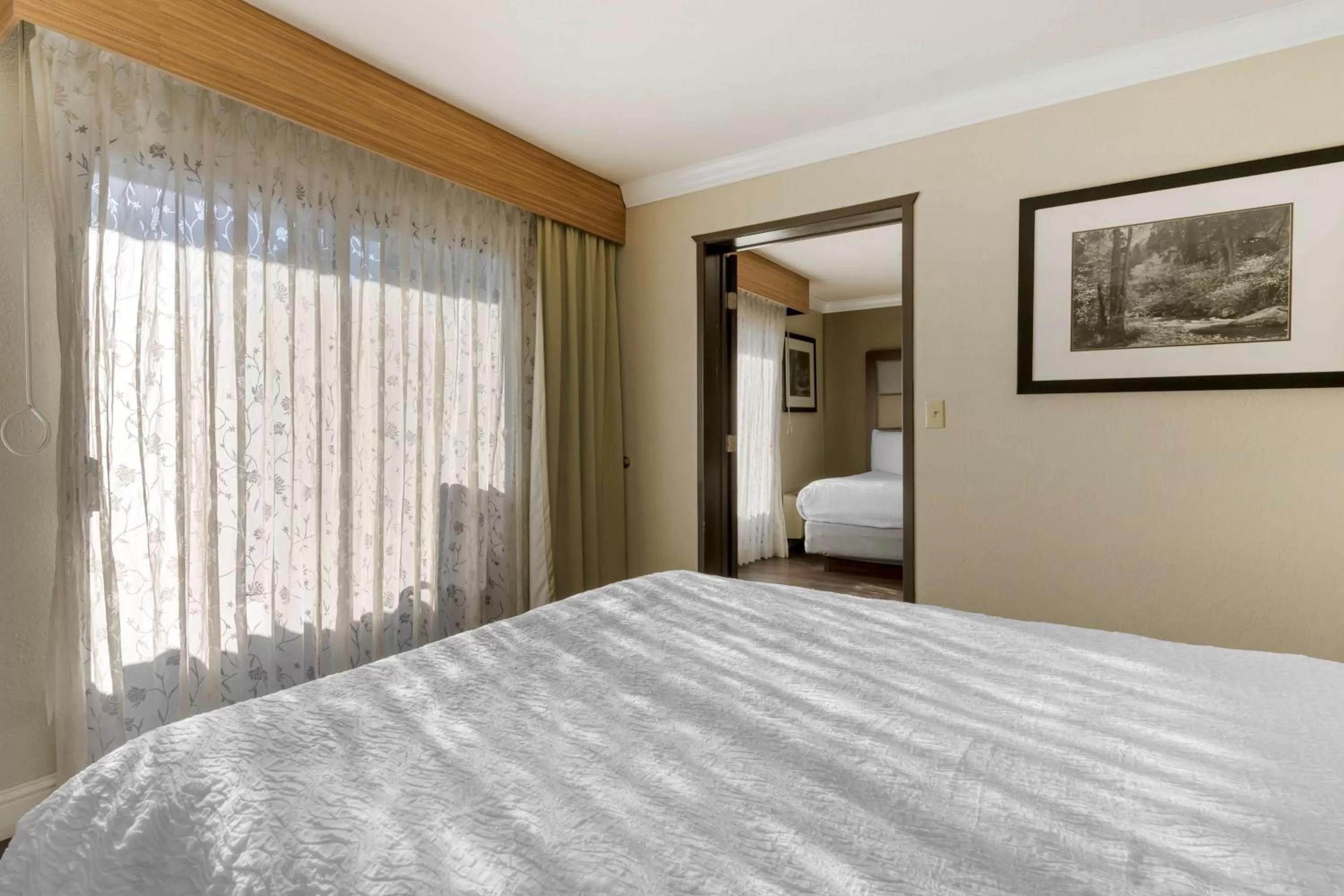 Family Suite in Best Western Plus Forest Park Inn