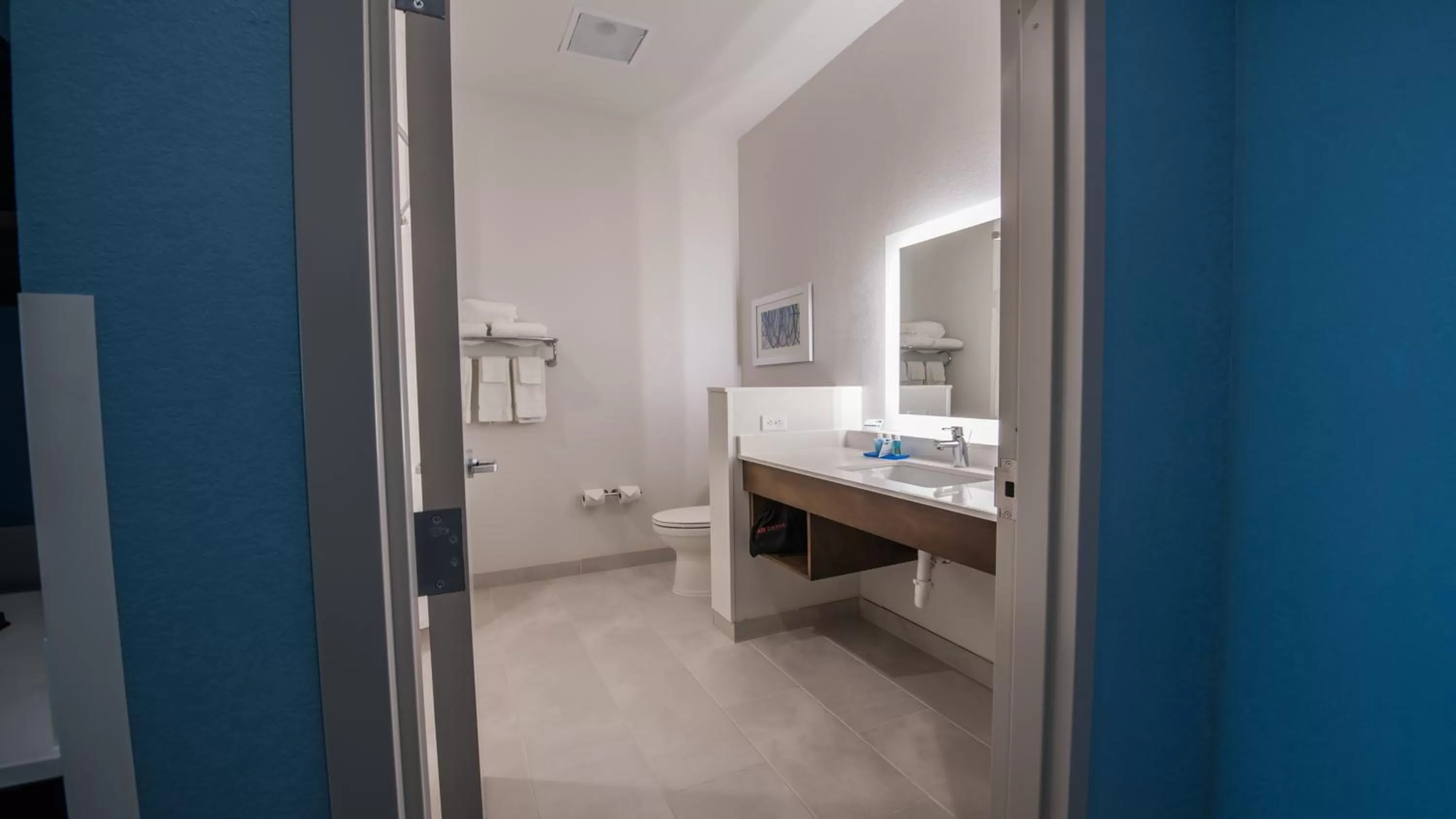 One-Bedroom Suite - Hearing Accessible in Holiday Inn Express & Suites - Dripping Springs - Austin Area by IHG