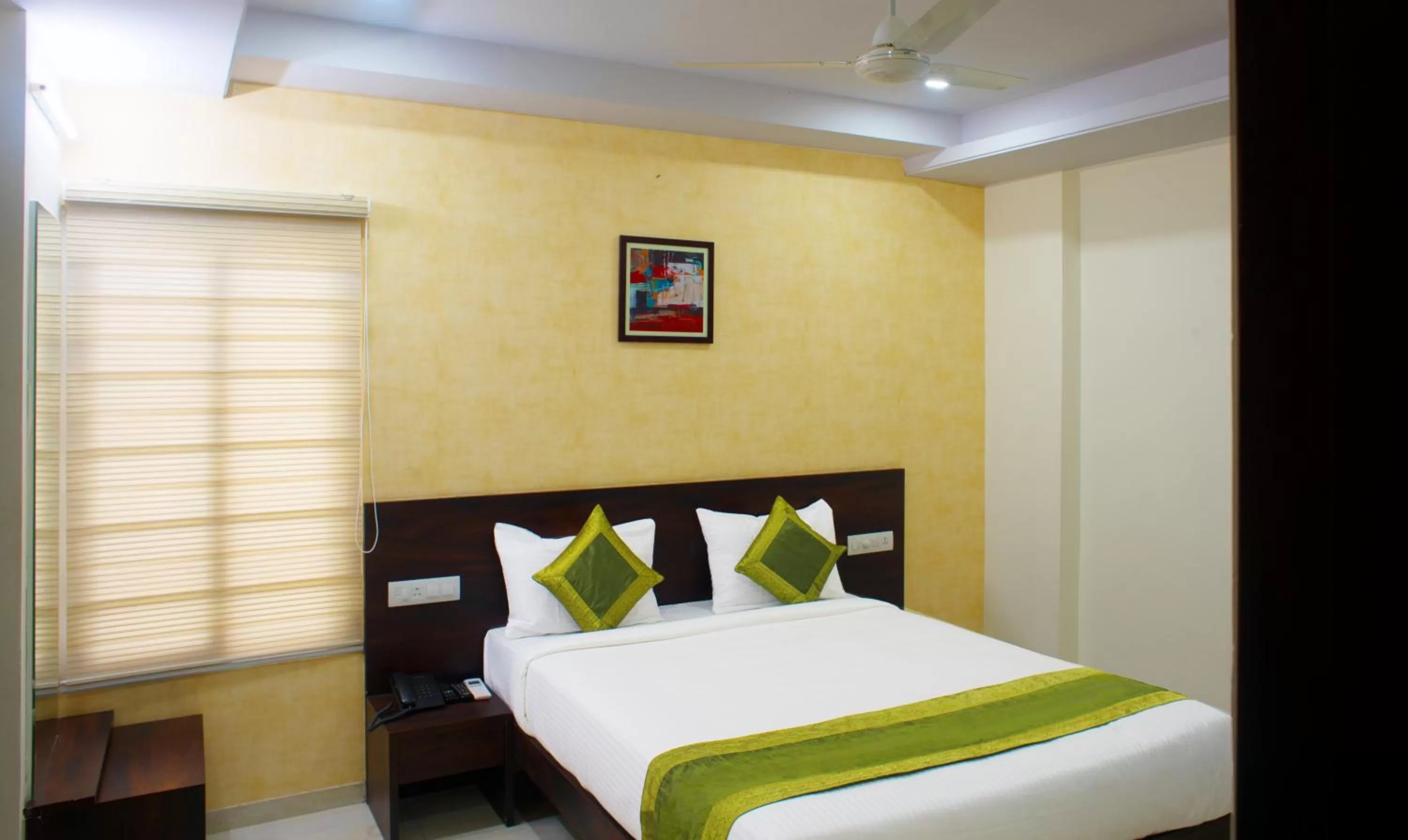 Standard Double or Twin Room - single occupancy in Treebo Celeste